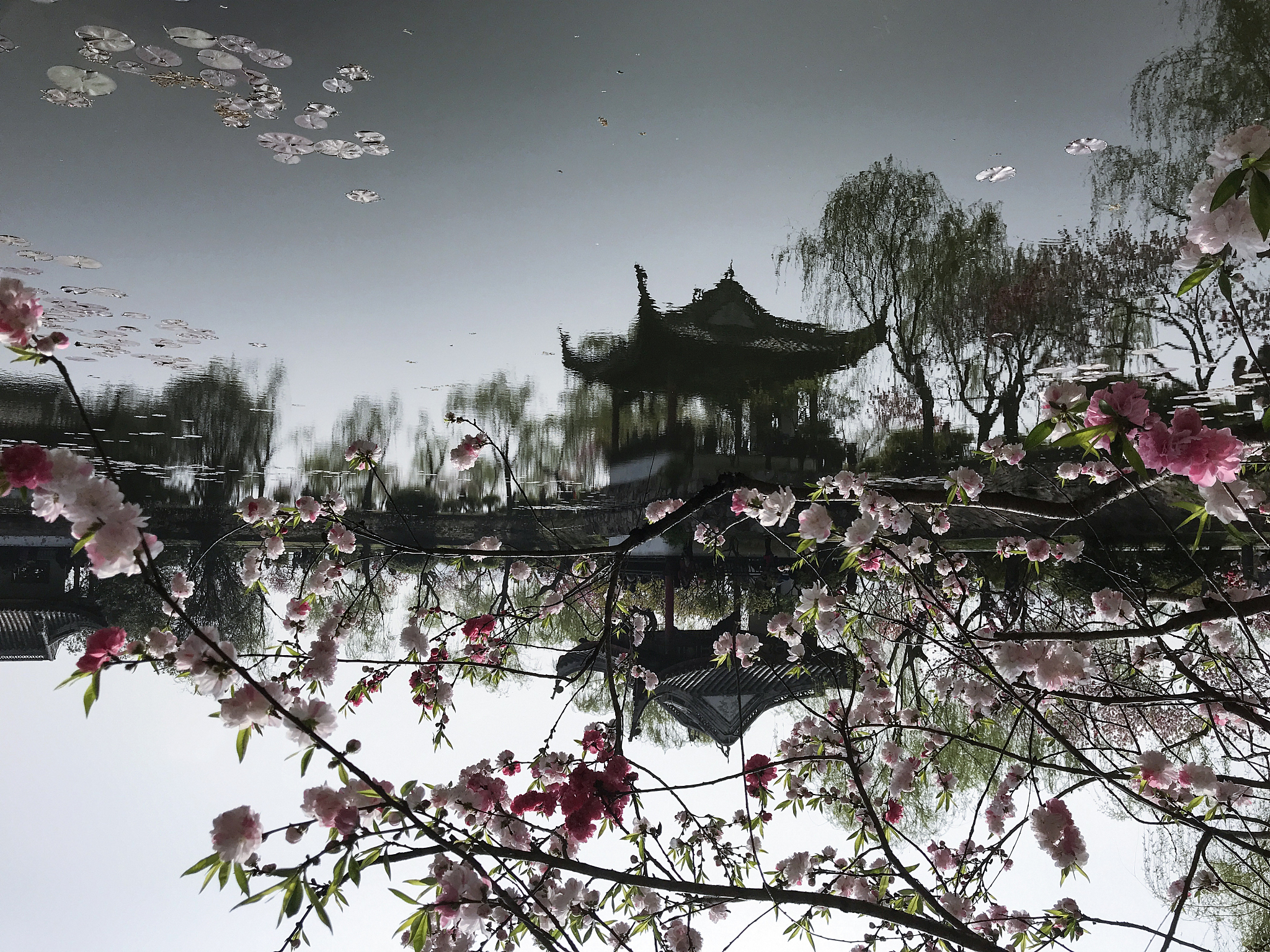 雨打花落残红去，楼心空对下雕栏。作者是个中年男人，家人独自在远方，你觉得下面几句是什么