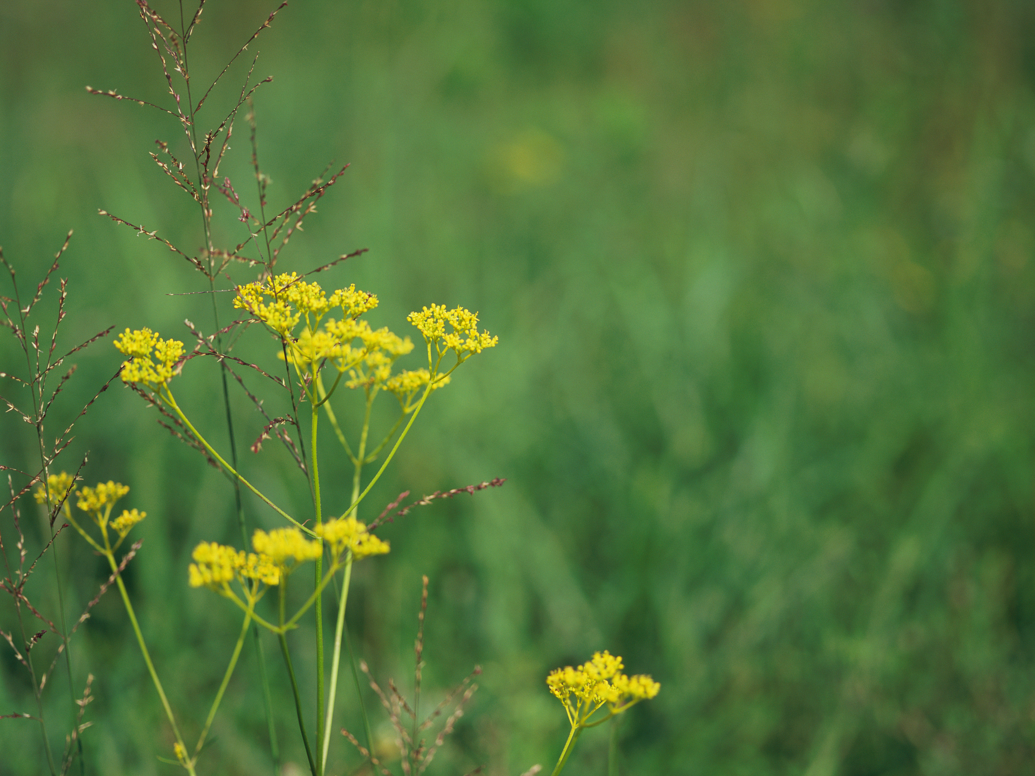 如何给BIOS设置密码：完整指南及注意事项