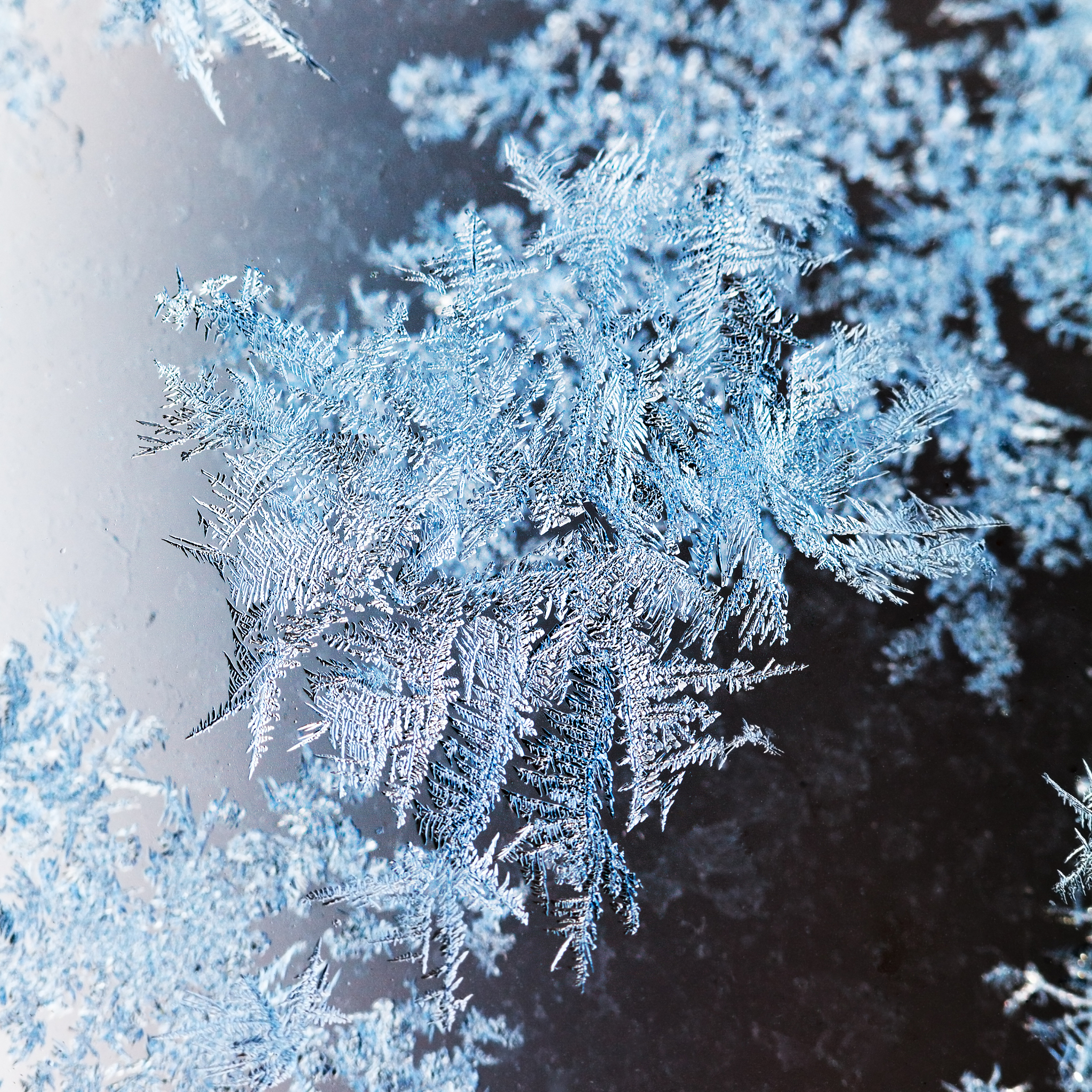 雪的形成、形态和文化象征 | 业财融合的本质和优势