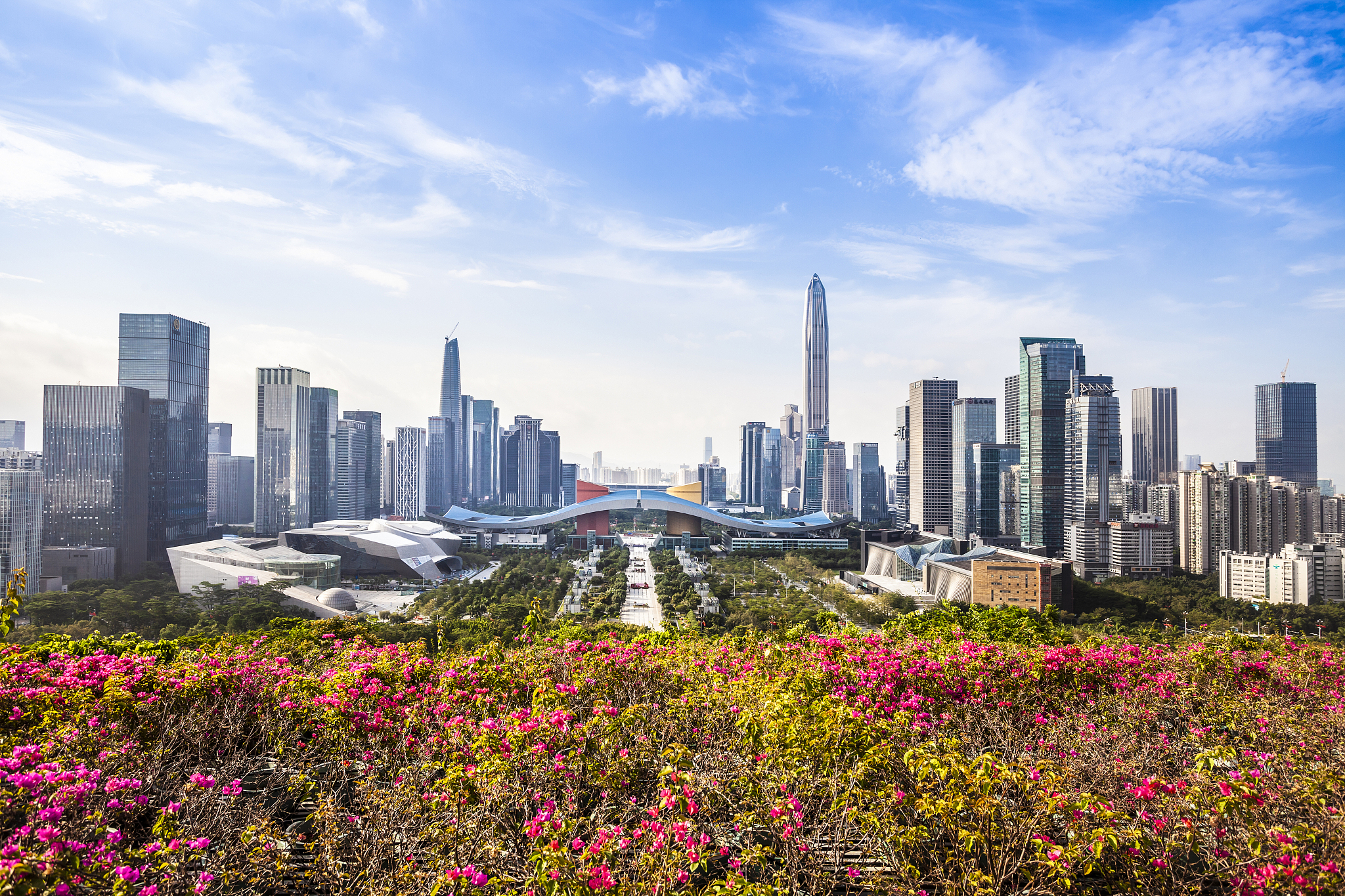 深圳城市风光