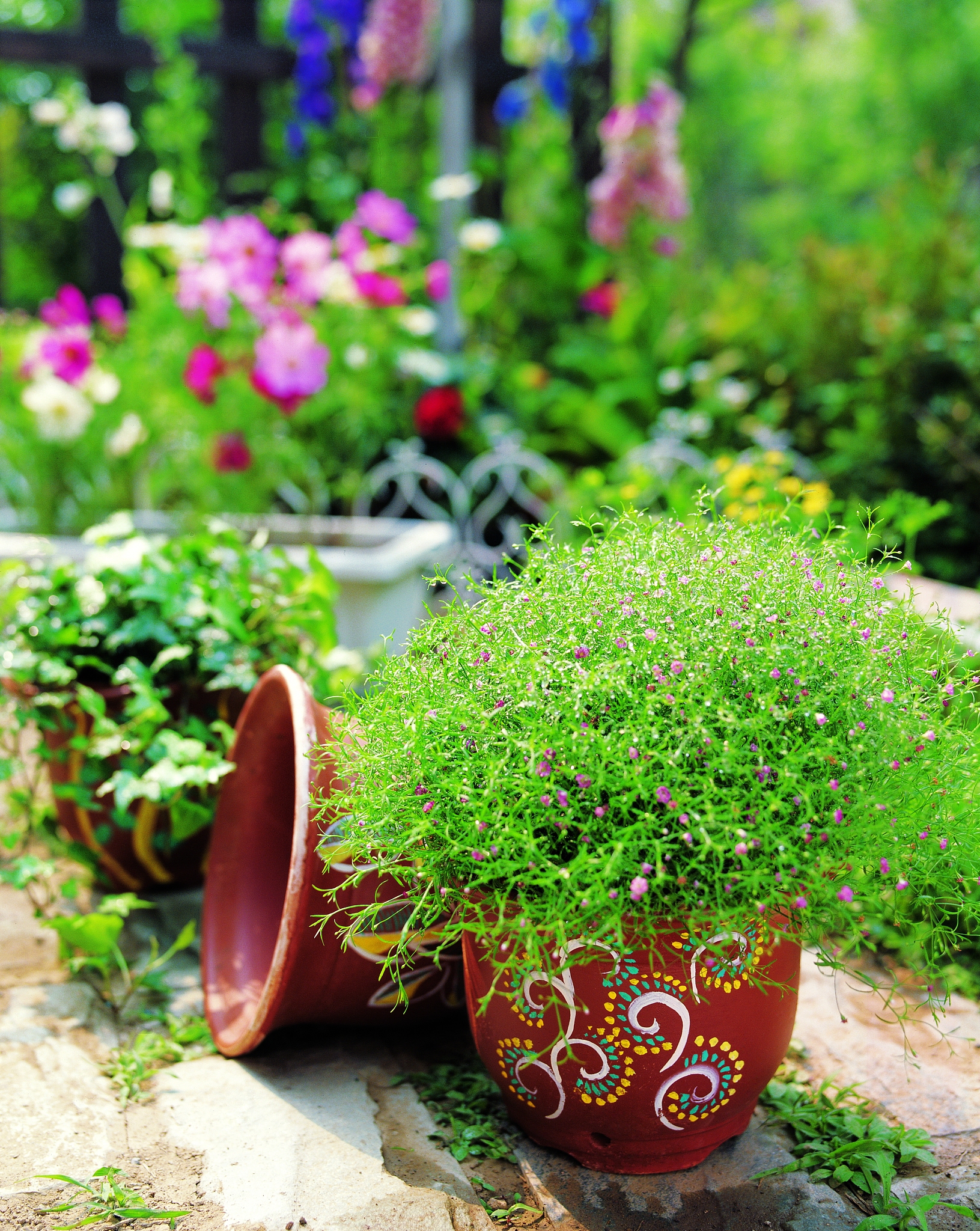 云南林业技工学校园艺花卉专业招生 - 2022年招生简章