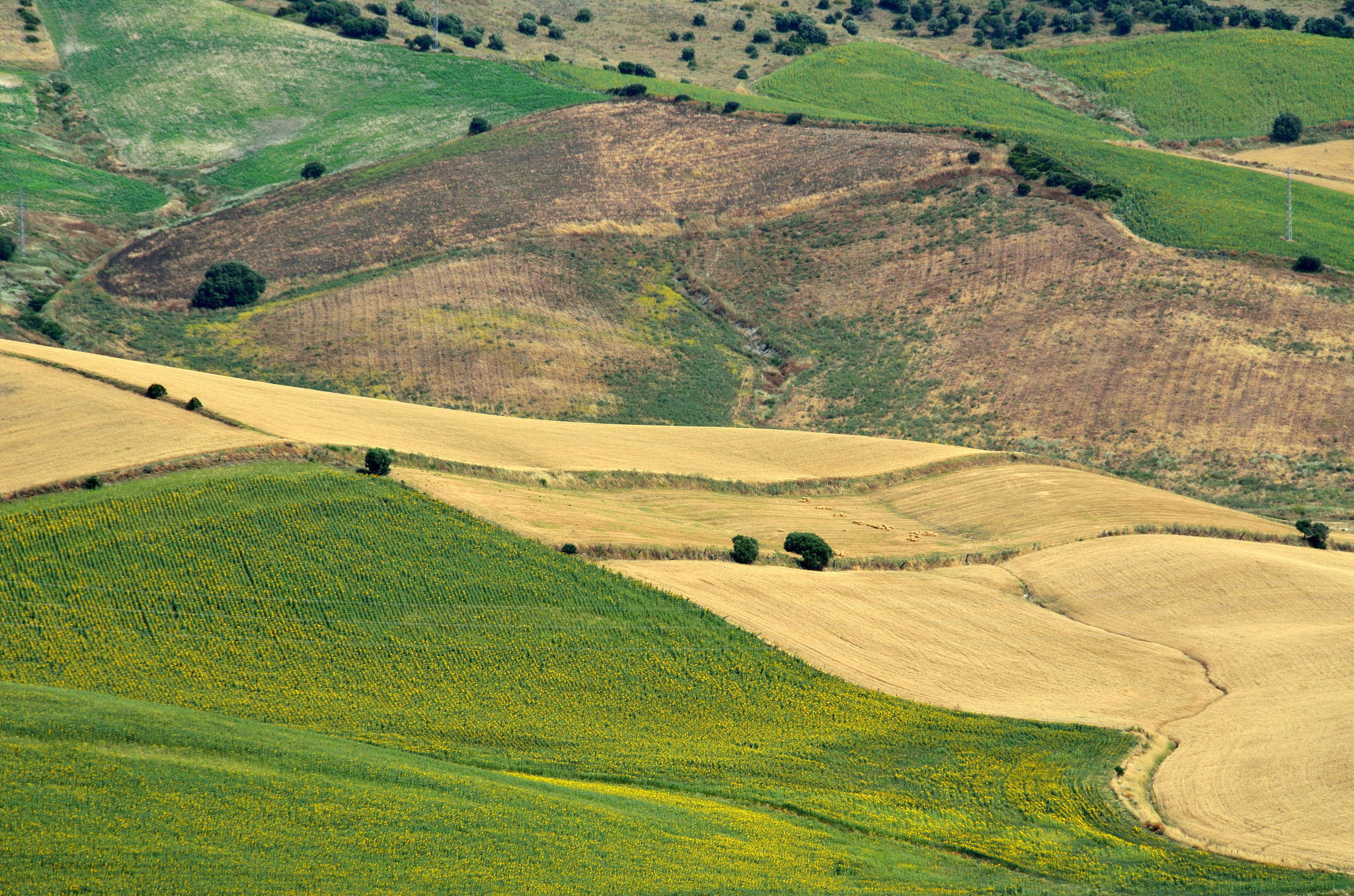 vejer de la frontera - vistas