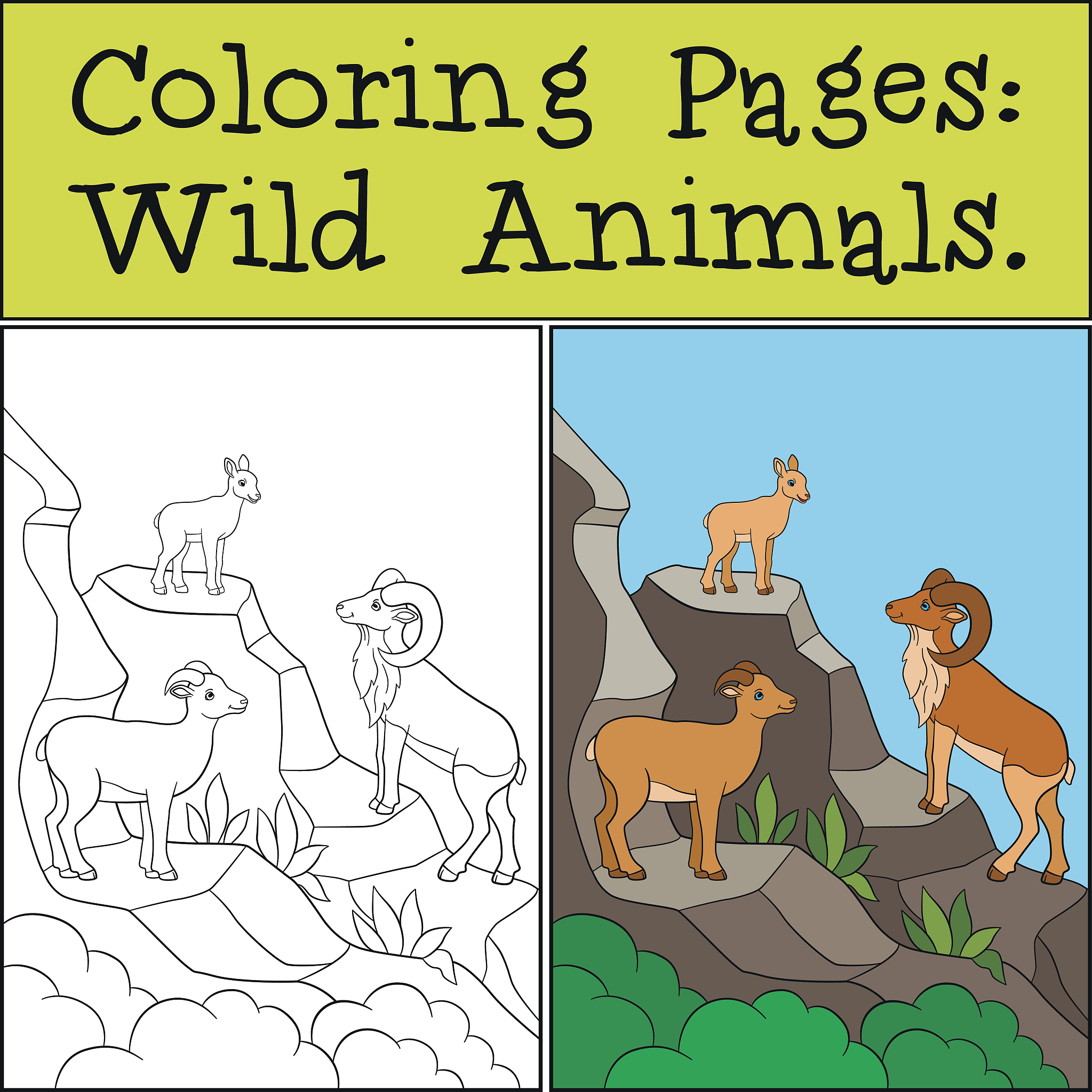 Greedy Bookseller and the Doctor's Trick - Funny Short Story