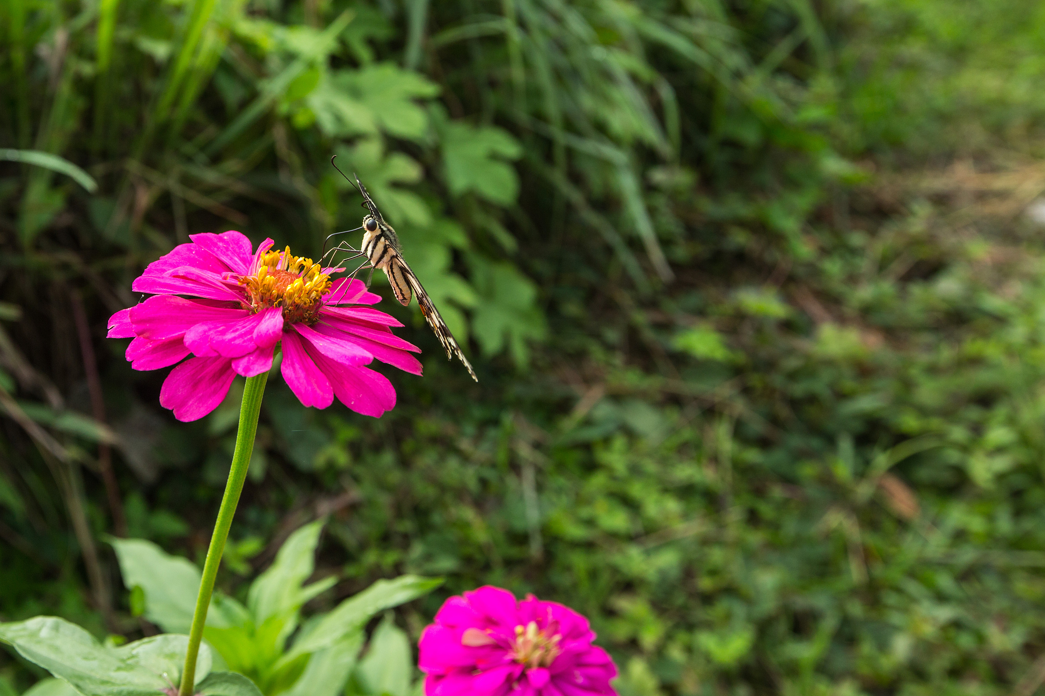 云南大学物理学专业怎么样？师资、课程、发展前景分析