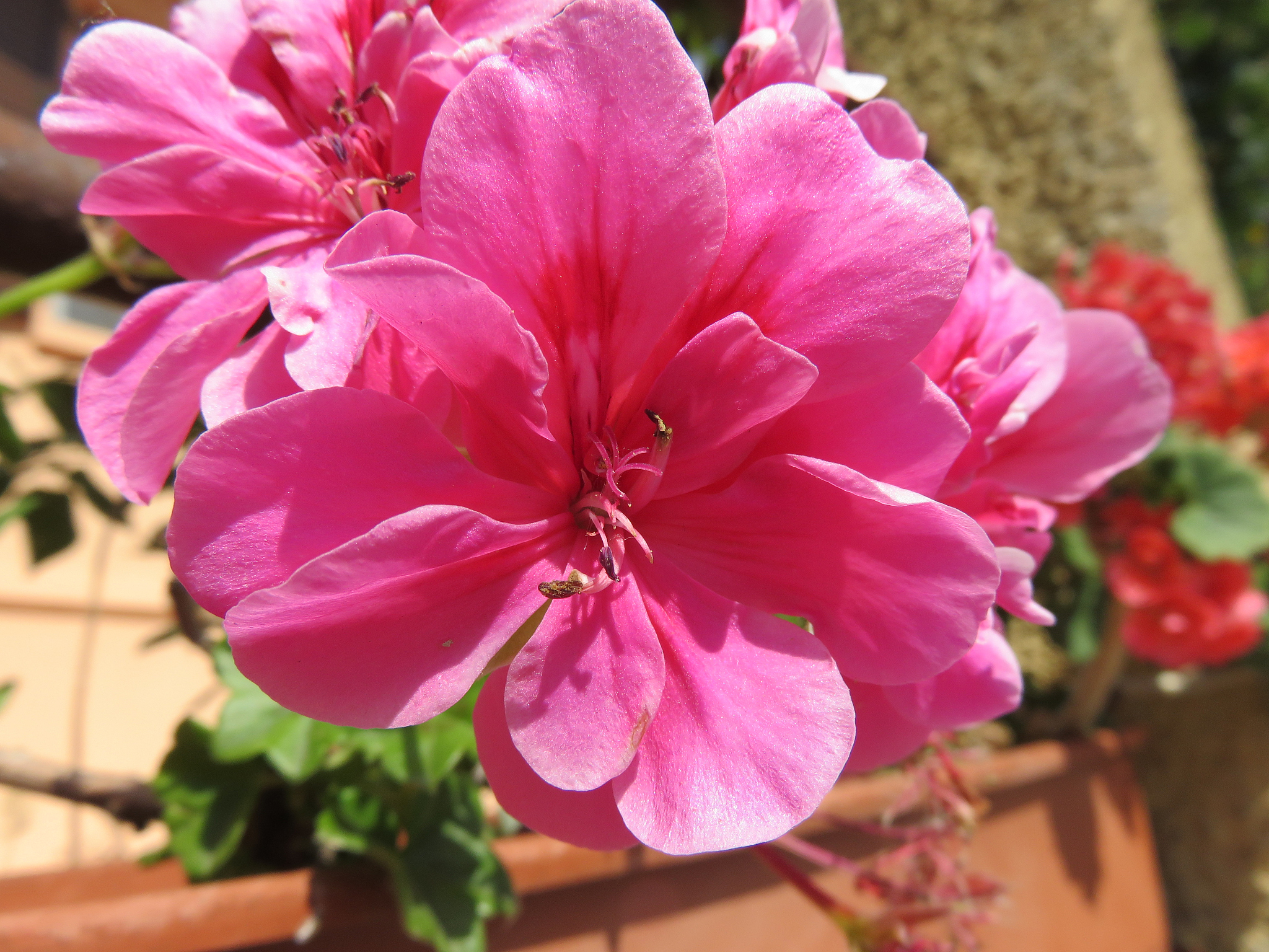 线程执行IO操作需要阻塞吗？详解阻塞与异步IO