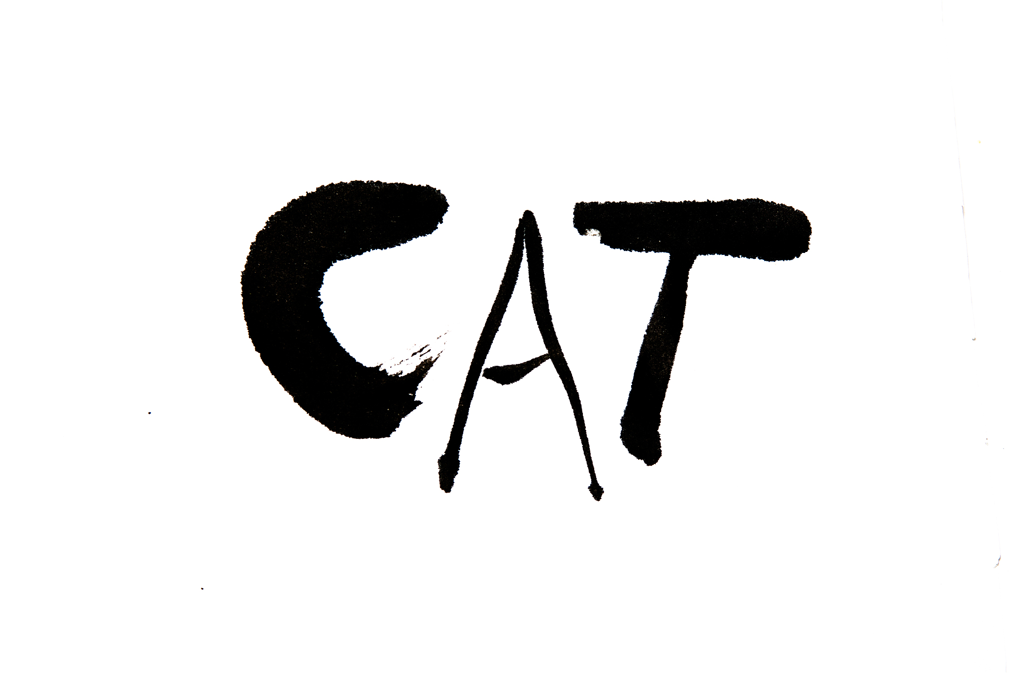 handwritten calligraphy ,cat