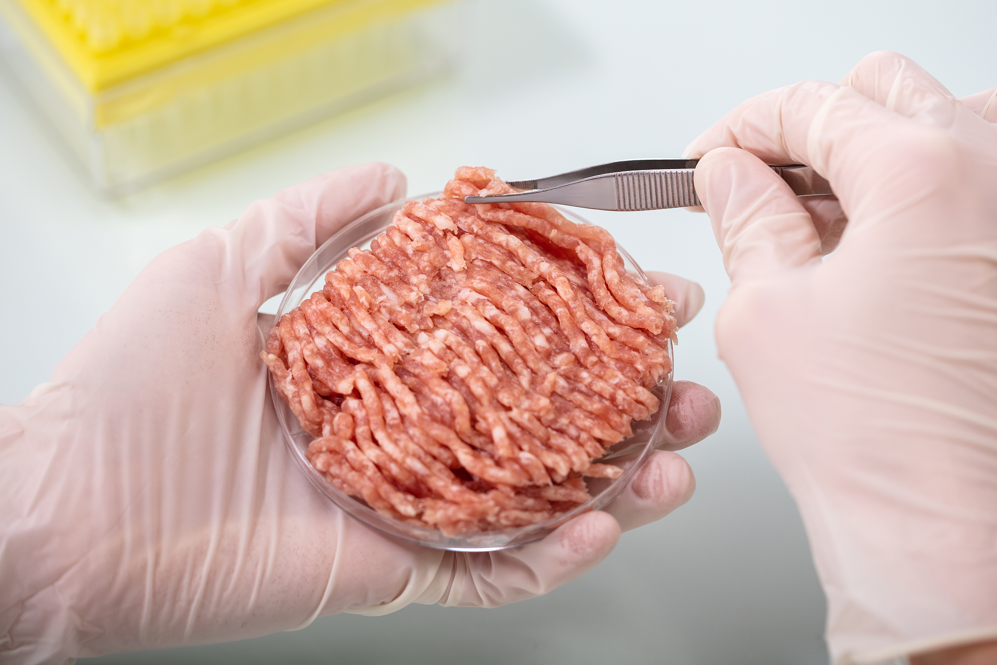 曲靖农业学校五年一贯制大专热门专业-2019年招生简章