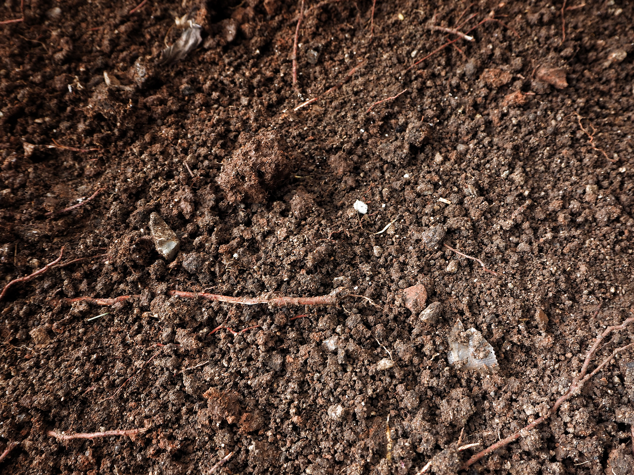 土壤中磷与铁氧化物形成表面沉淀的过程