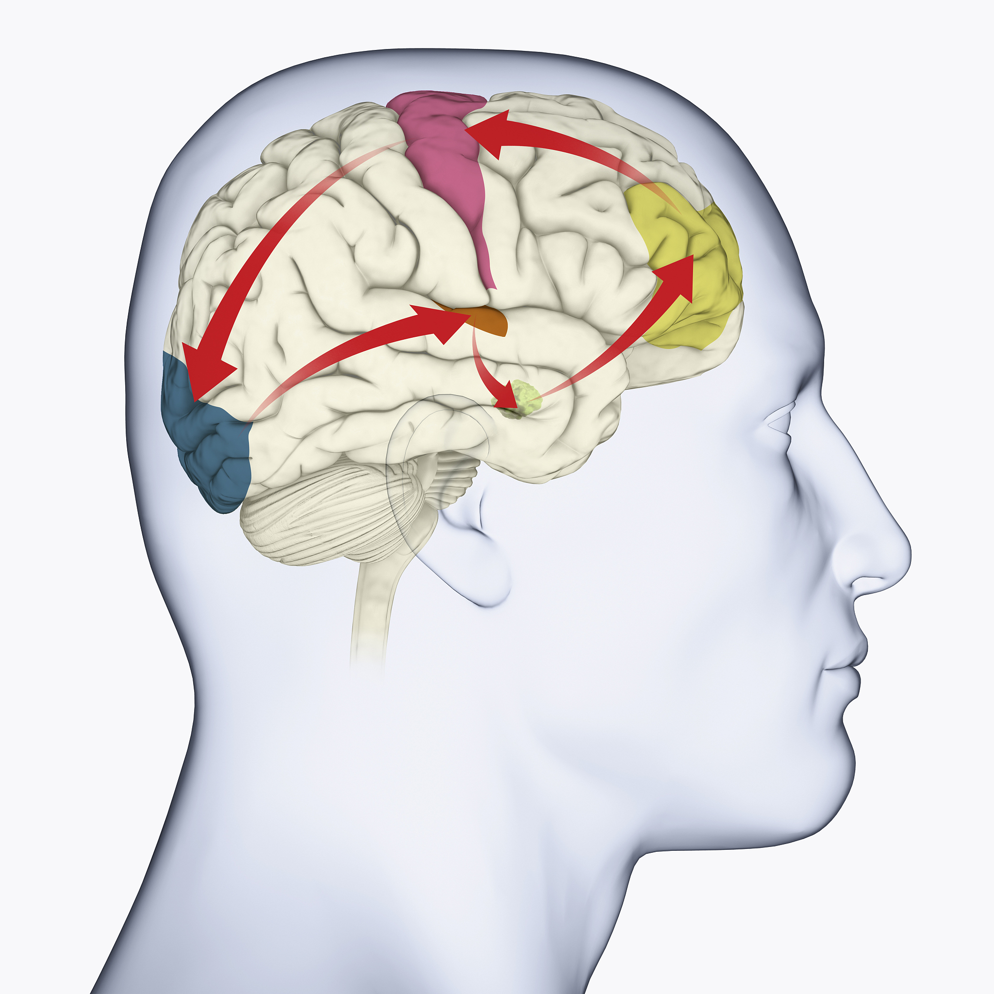 在近二十年的文献里研究趋近动机与不确定容忍度的关系并且揭示其脑电机制的文章有没有？如果有哪些最新的进展？