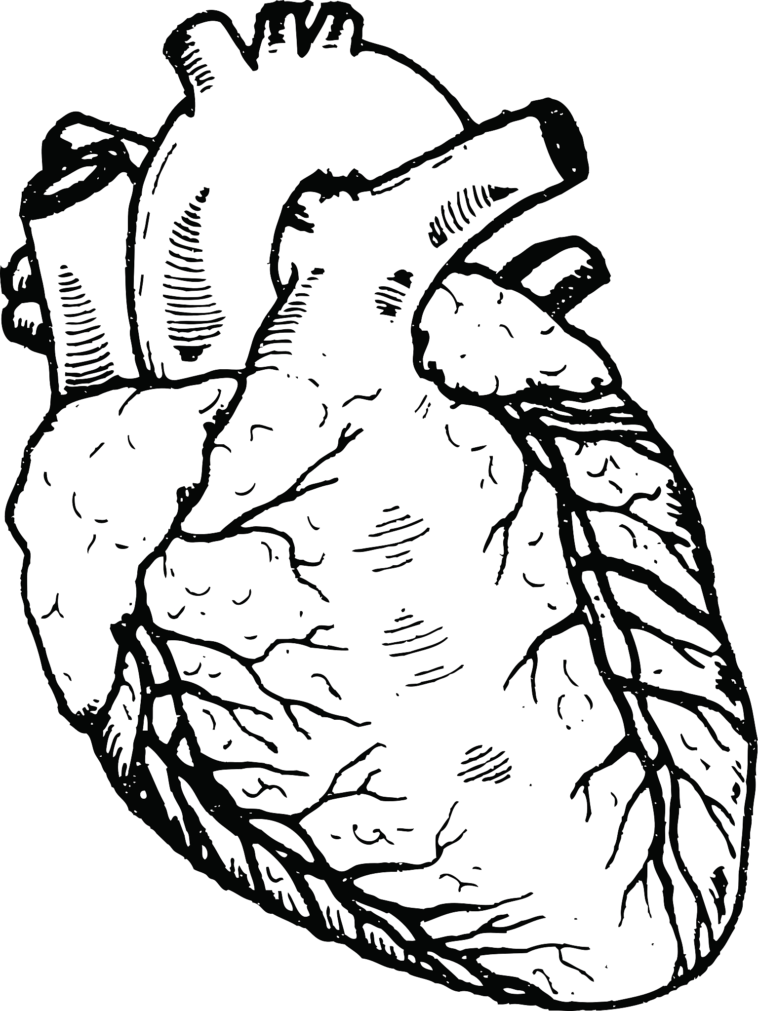 闭合性胸腹部损伤合并创伤性脾破裂腹腔镜探查备剖腹探查术的术中护理