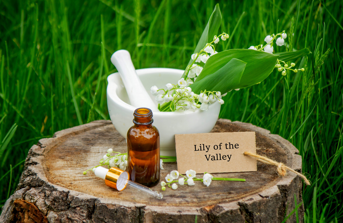 健康美丽，由内而外！天然保健品，呵护您的健康与美丽！