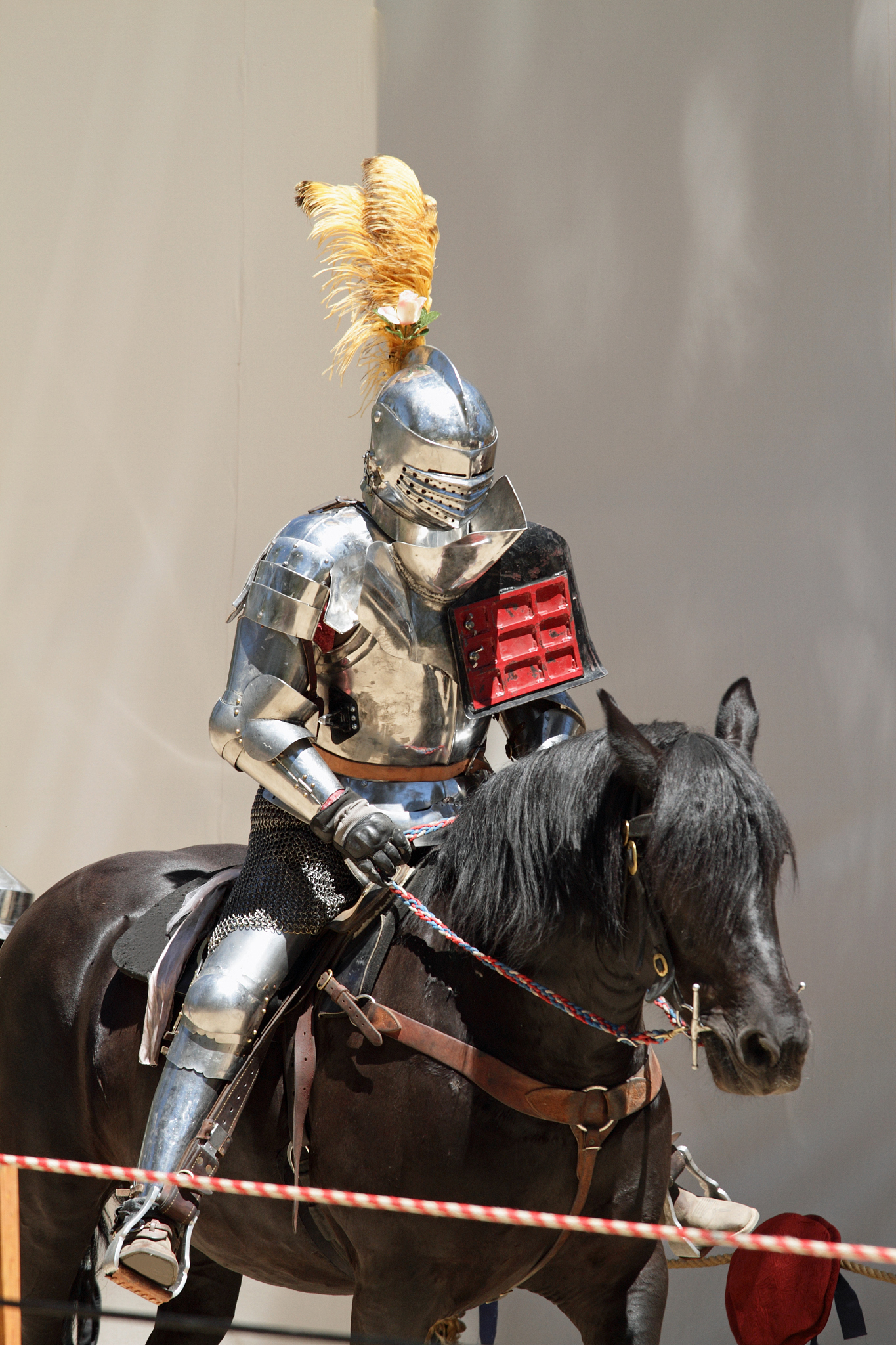 jousting knight