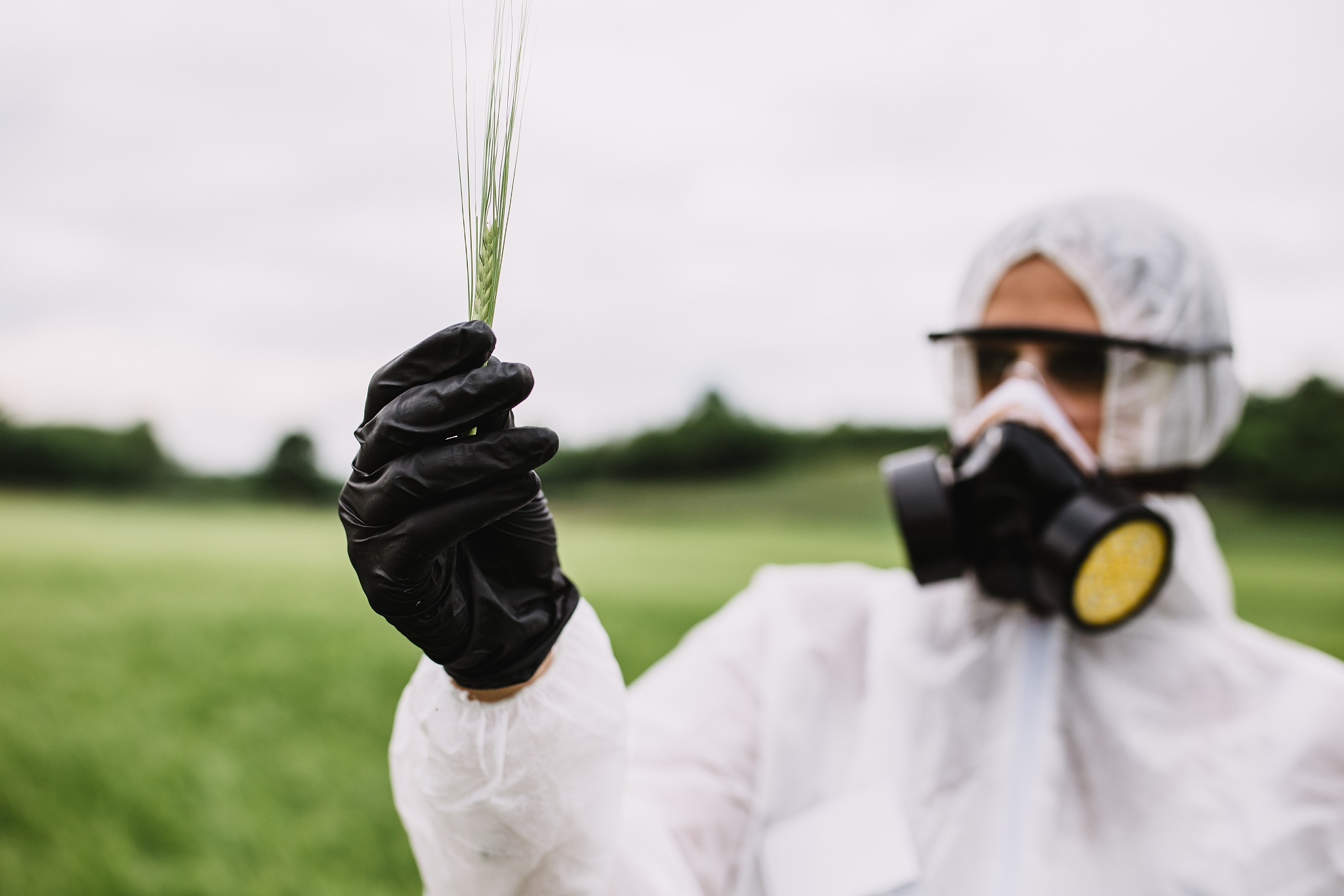 福建农业职业技术学院会计专业怎么样？好学吗？