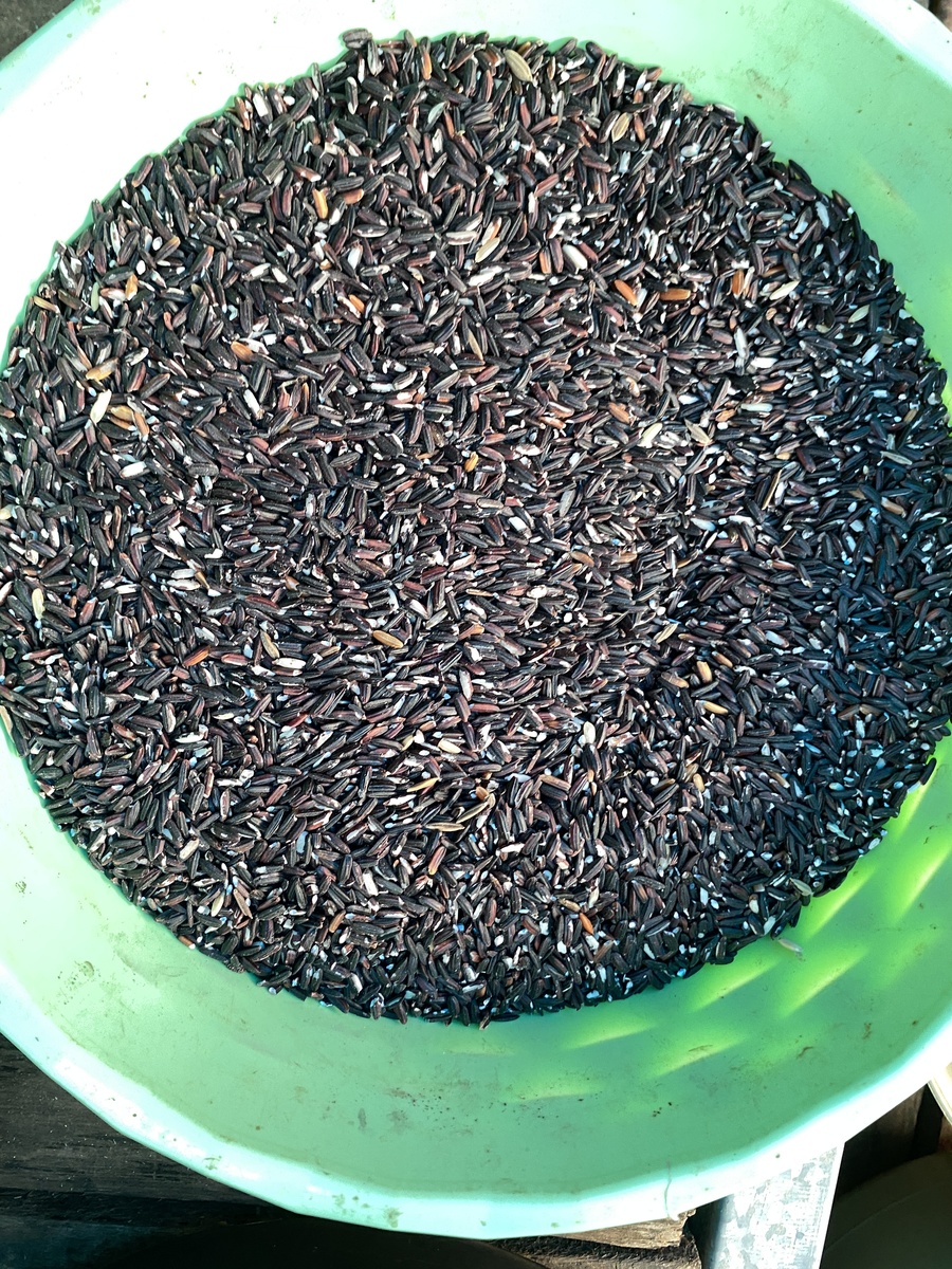 生黑米可以磨成粉吗？如何磨出细腻的黑米粉？