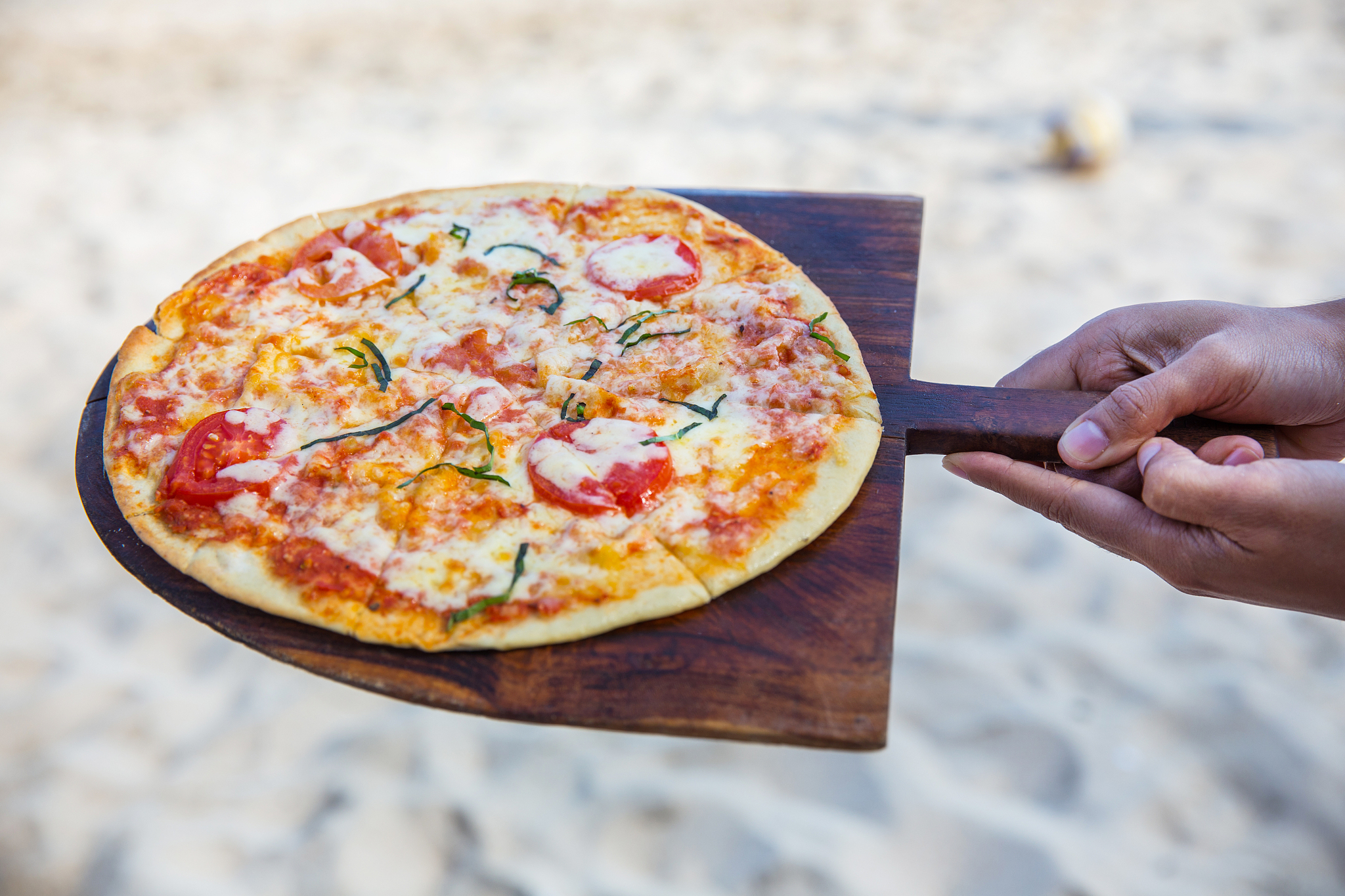 广东食品药品职业学院药品经营与管理专业可以选择哪些就业方向