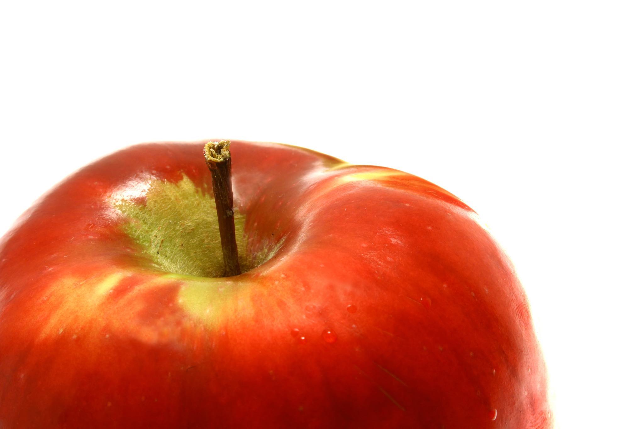 part of fresh apple