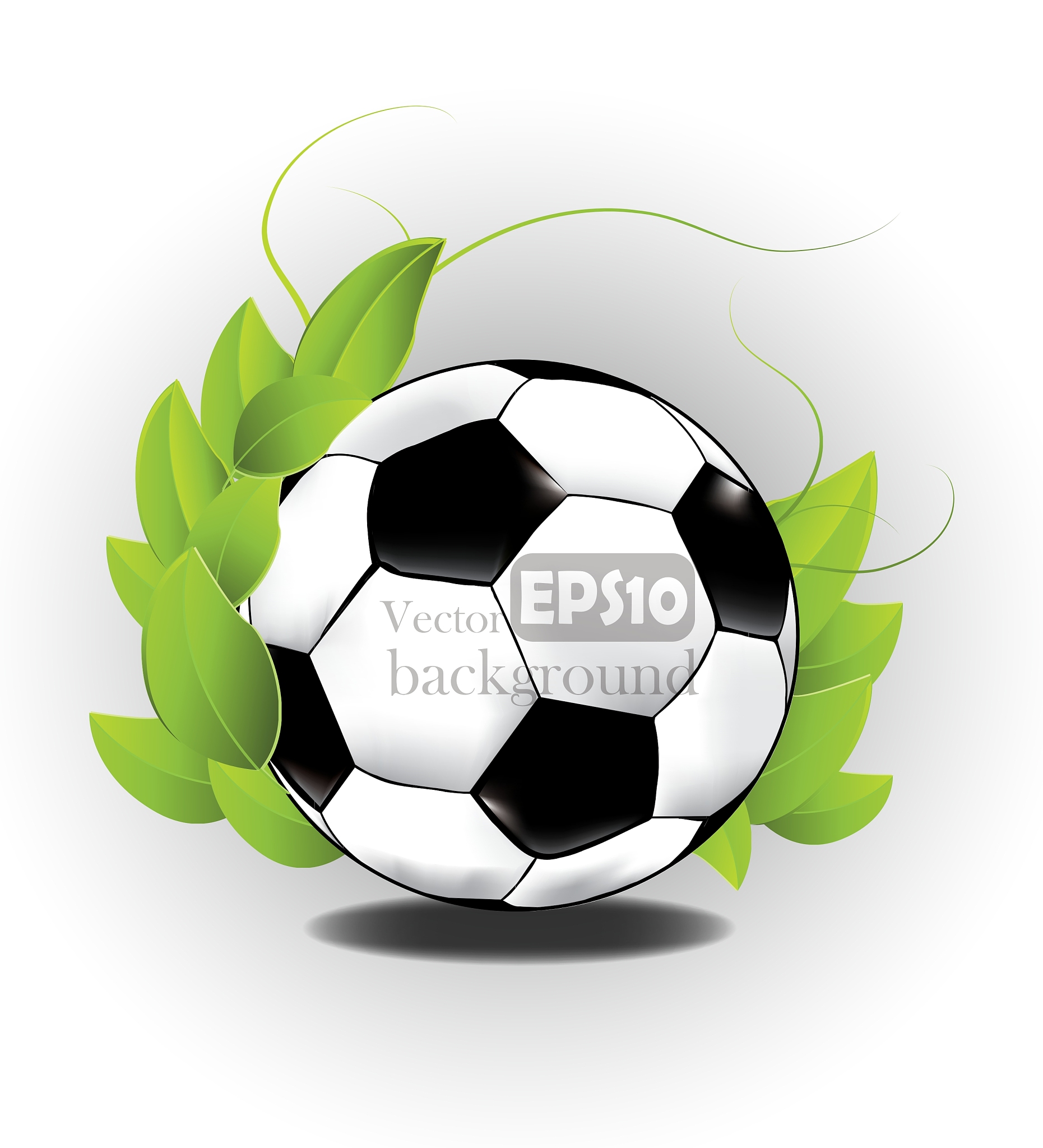 sports ball design