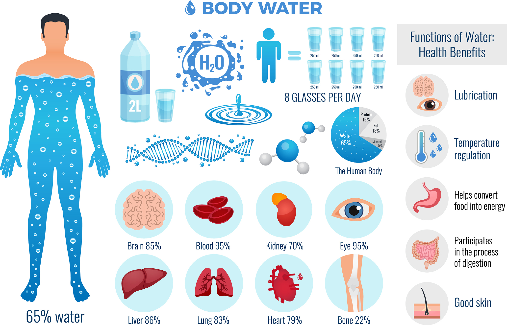 每天喝3升水，你的身体会发生这些惊人变化！