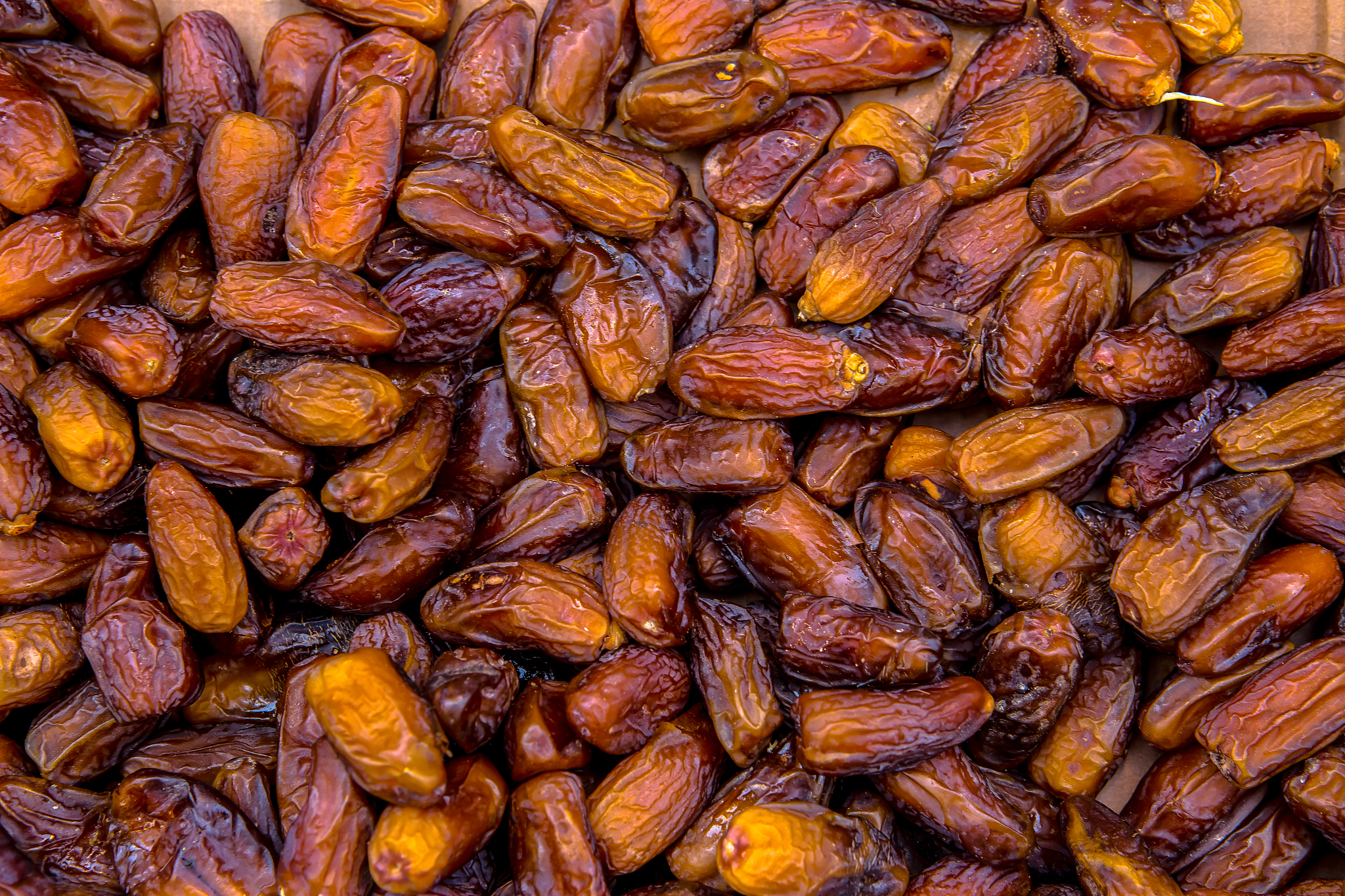 赣州农业学校2022年专业介绍：农业机械化与自动化、畜牧兽医等