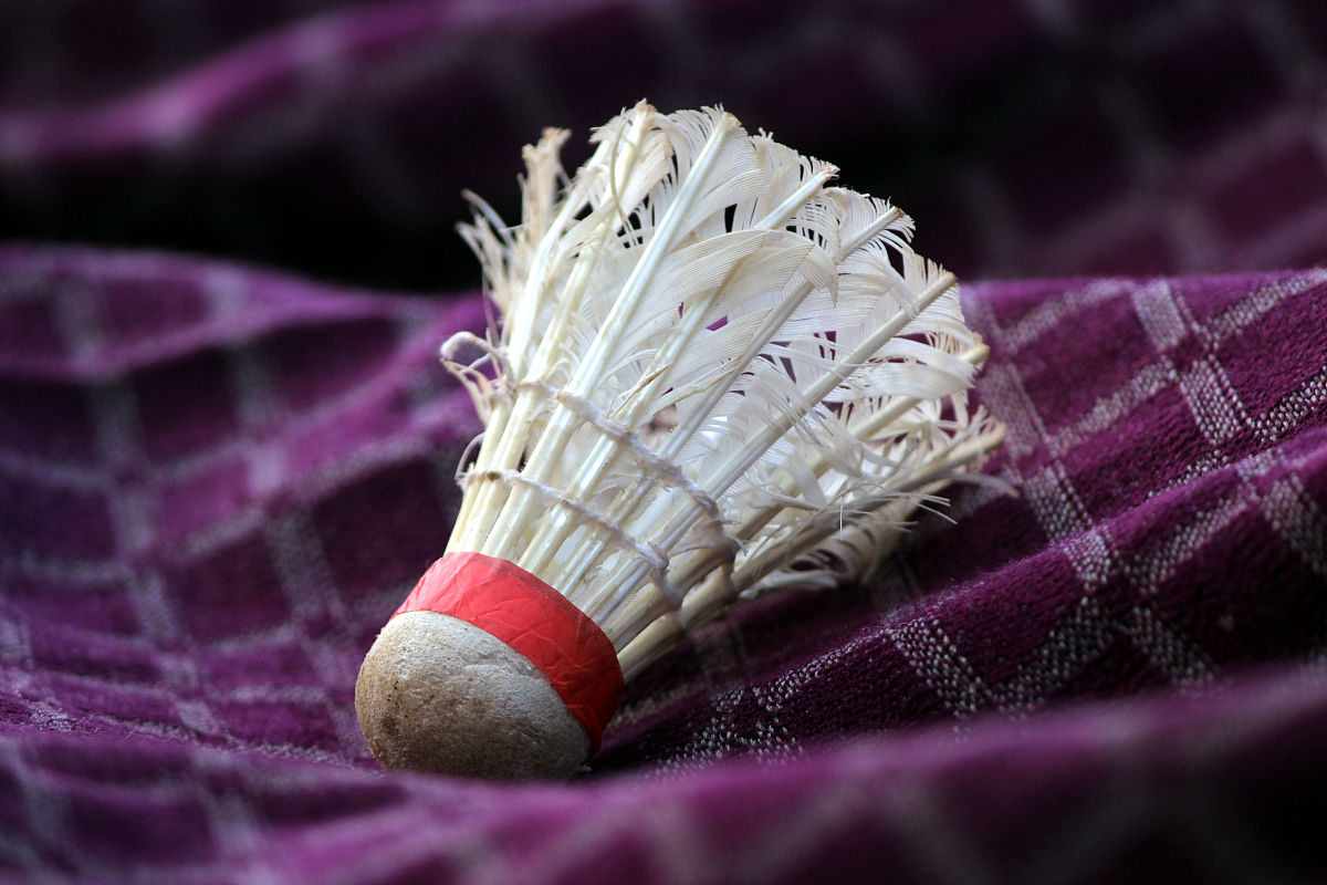 羽毛球的毛是用什么毛做的