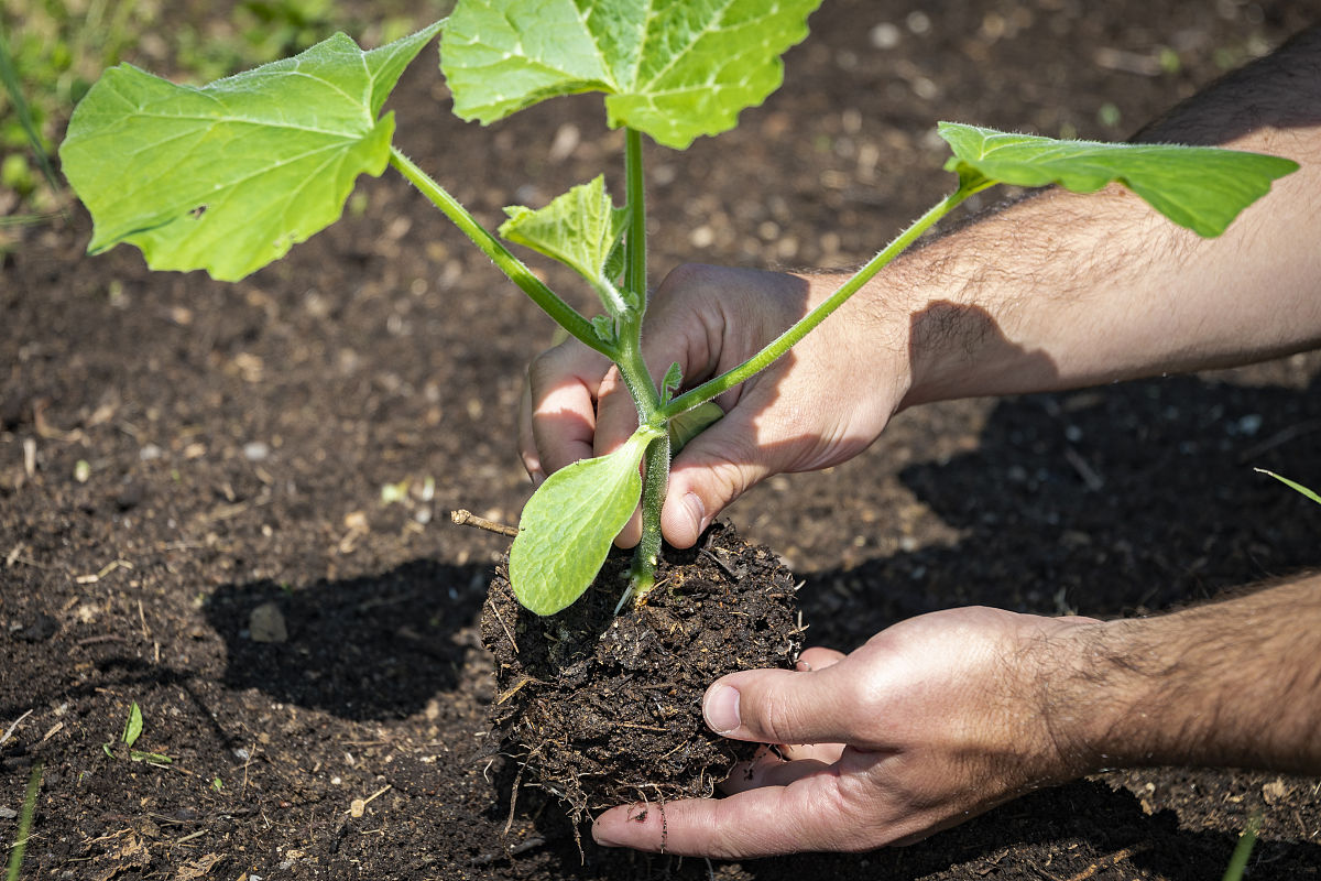 土壤污染状况调查专家评审建设方开场白
