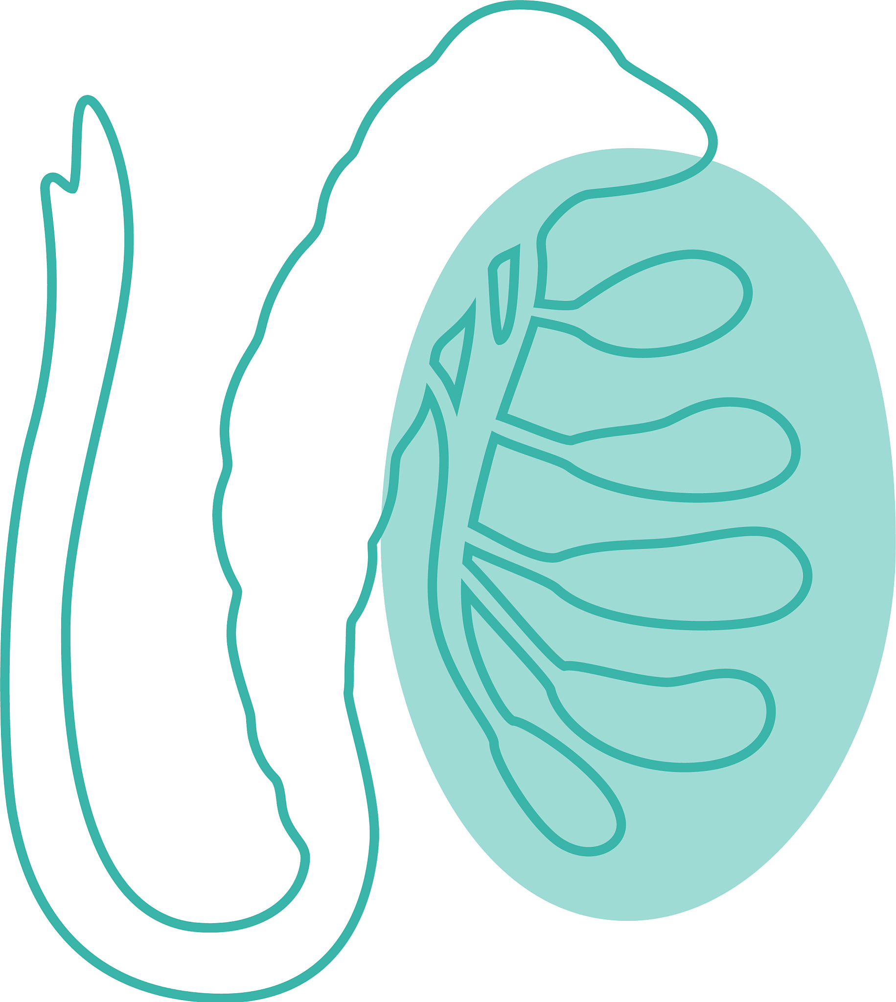 男性生殖健康指南：饮食、运动、生活习惯和定期检查
