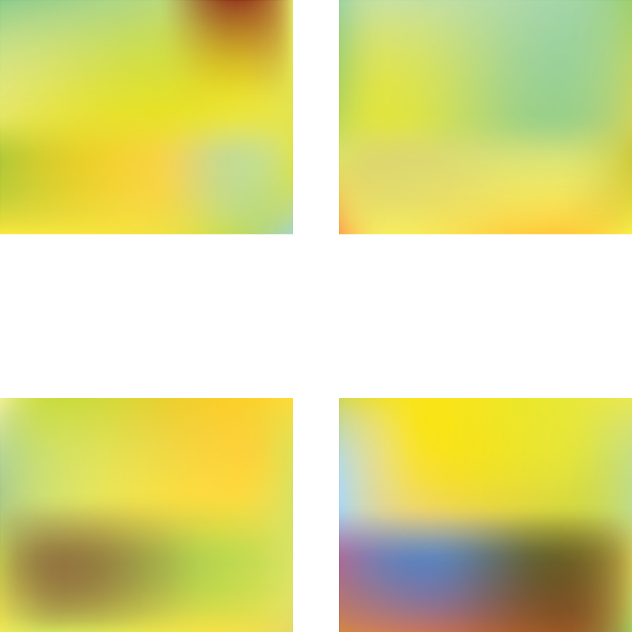 网络技术人员月报：本月工作总结及下月计划