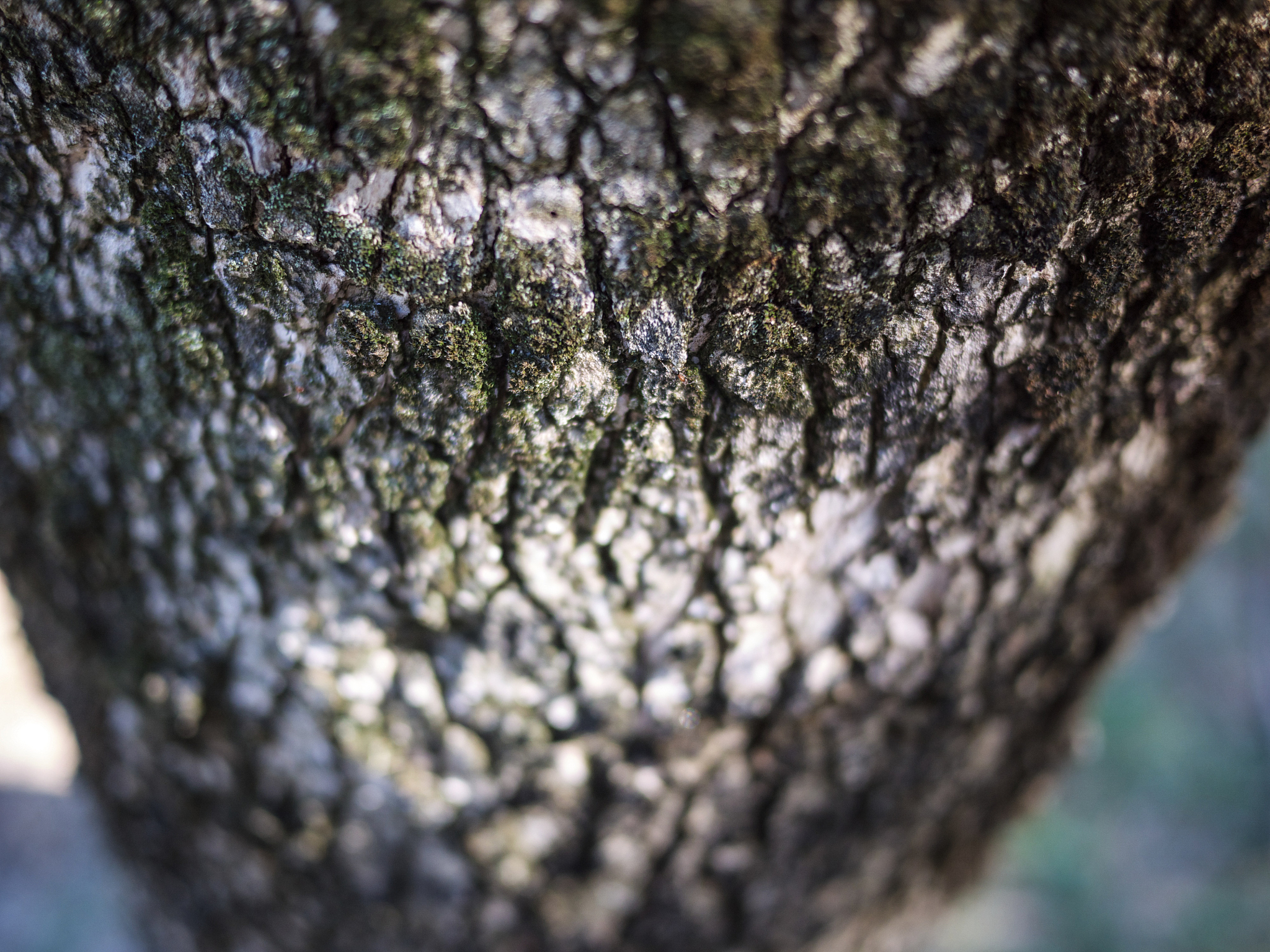 请帮我写1篇不少于800汉字的博客文章语言要幽默接地气。主题是：龙涎香一克多少钱龙涎香吊坠有什么好处是什么做的