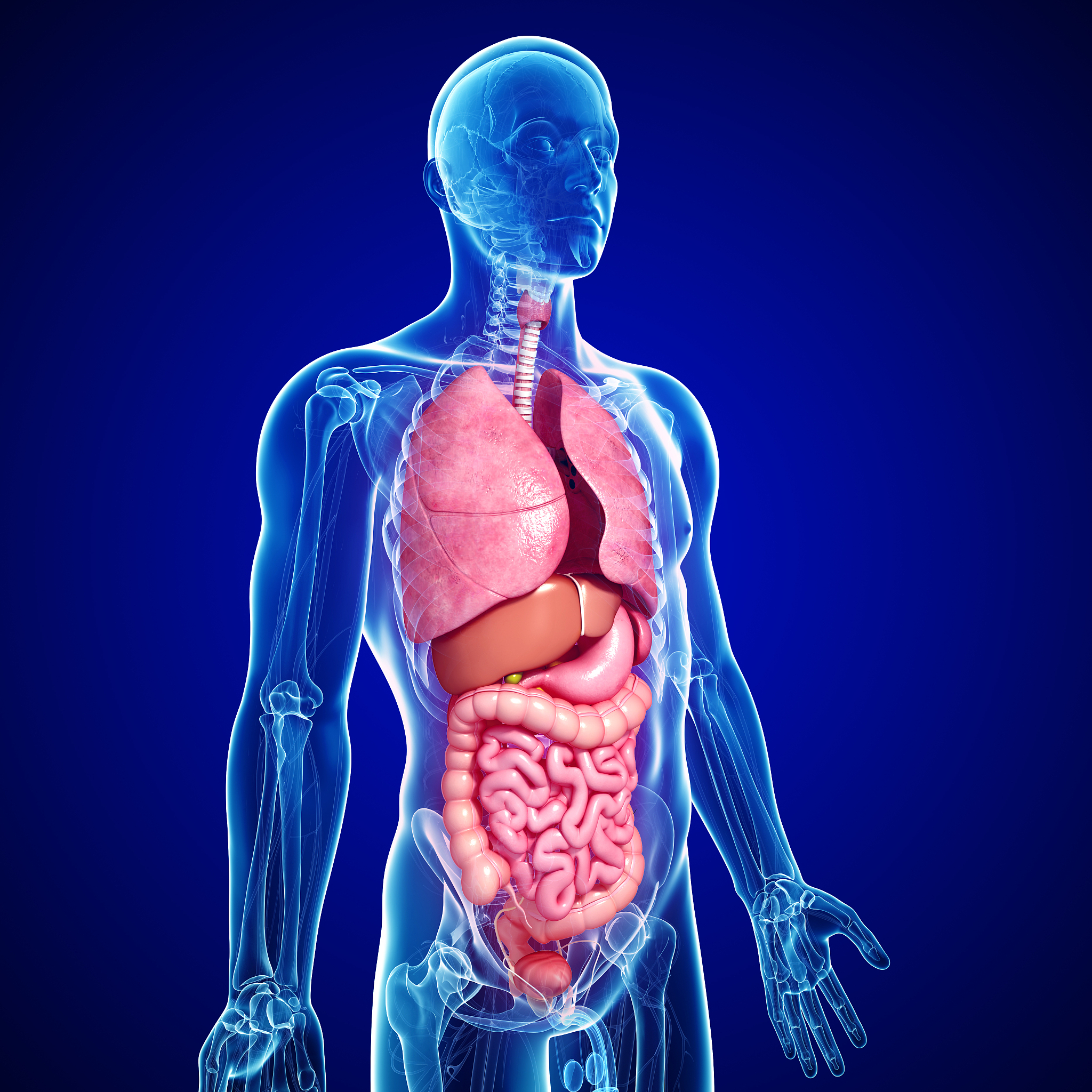 胰腺癌的早期症状：上腹痛、消瘦、黄疸等，及时就医！