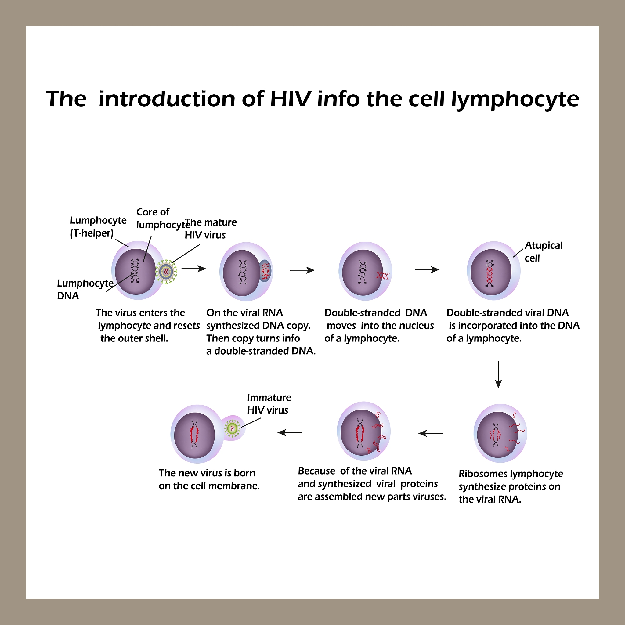 《GENETIC TESTING AND MOLECULAR BIOMARKERS》期刊主编信息