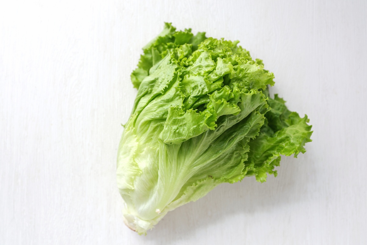 白菜的特点：外形、颜色、味道、营养和用途