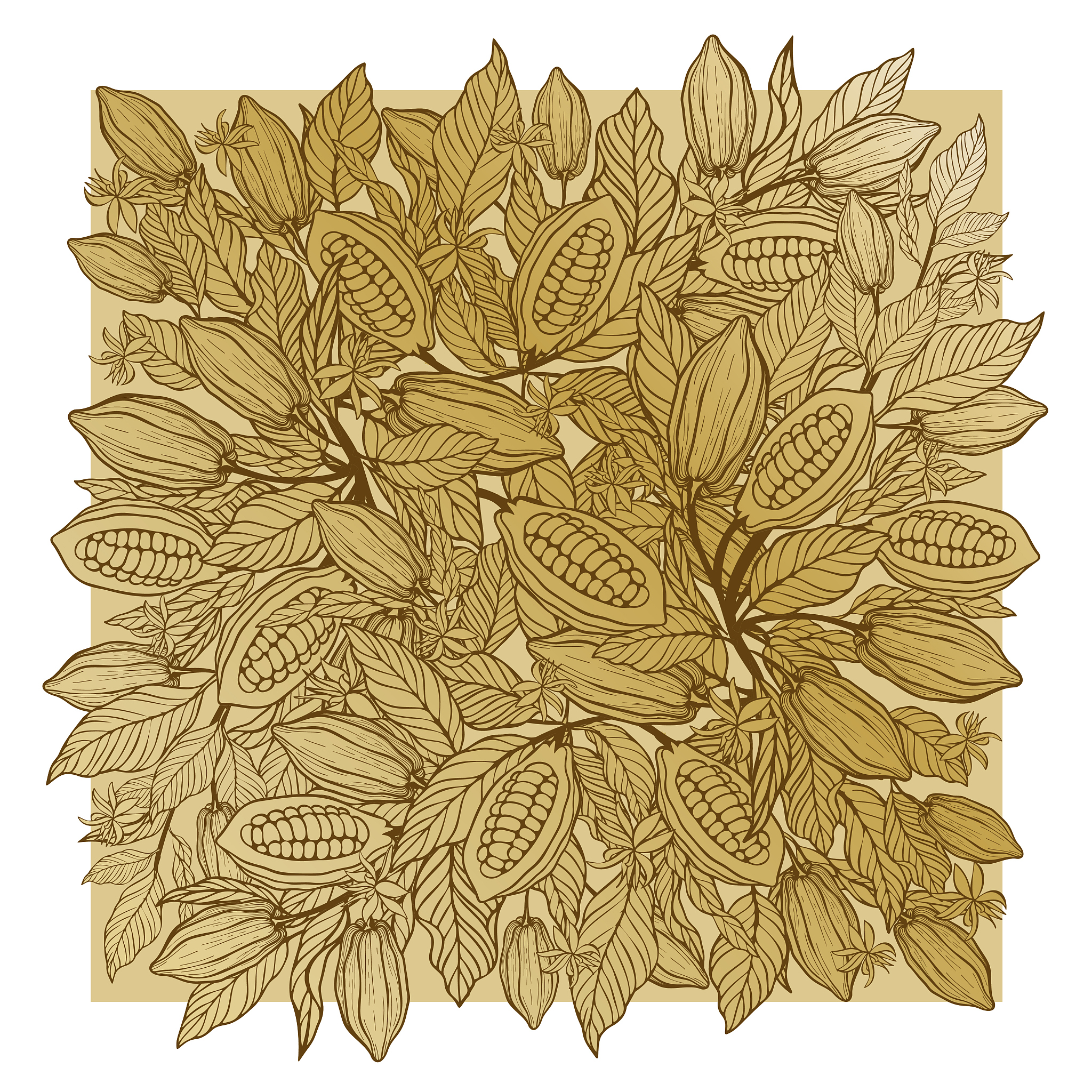 亳州中药科技学校中药制药专业课程介绍：培养未来中药制药人才