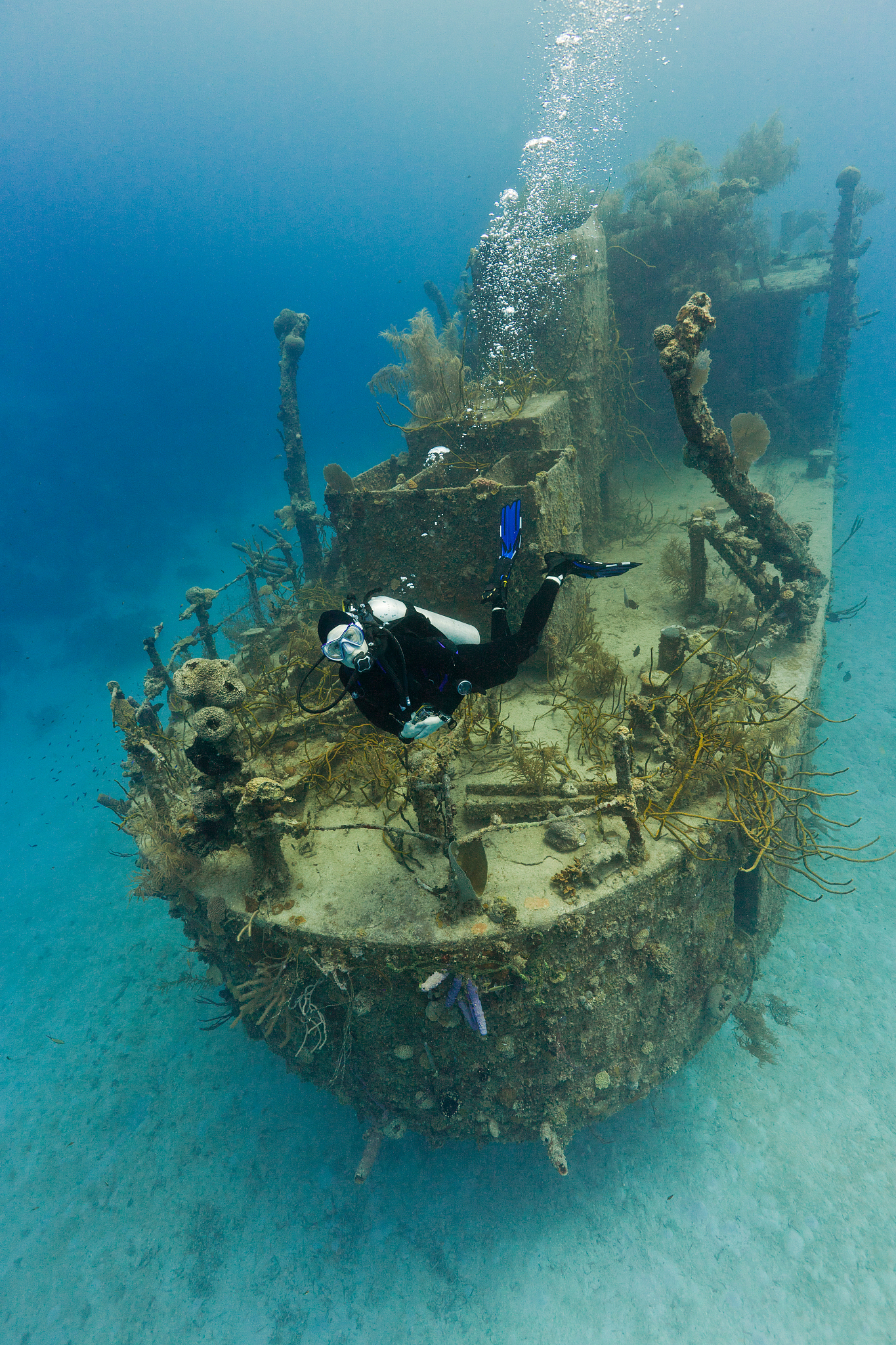 scuba diver  inspecting wreck