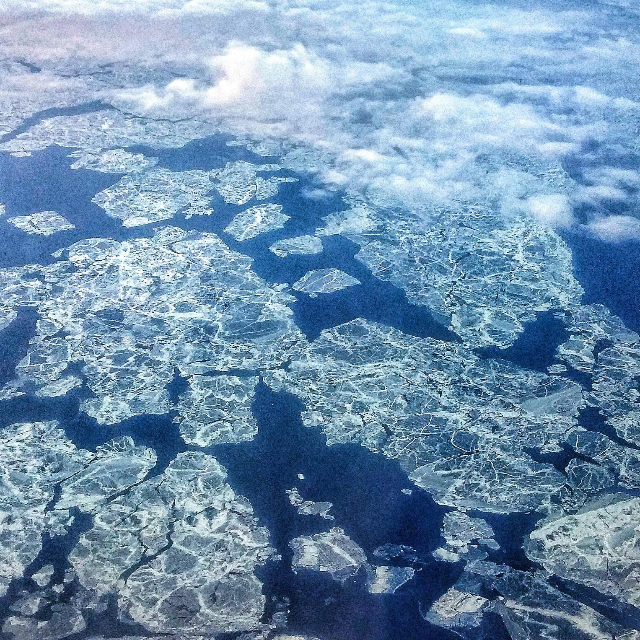 Frozen Goods Thawing: Causes, Humidity Increase, and Frost Formation