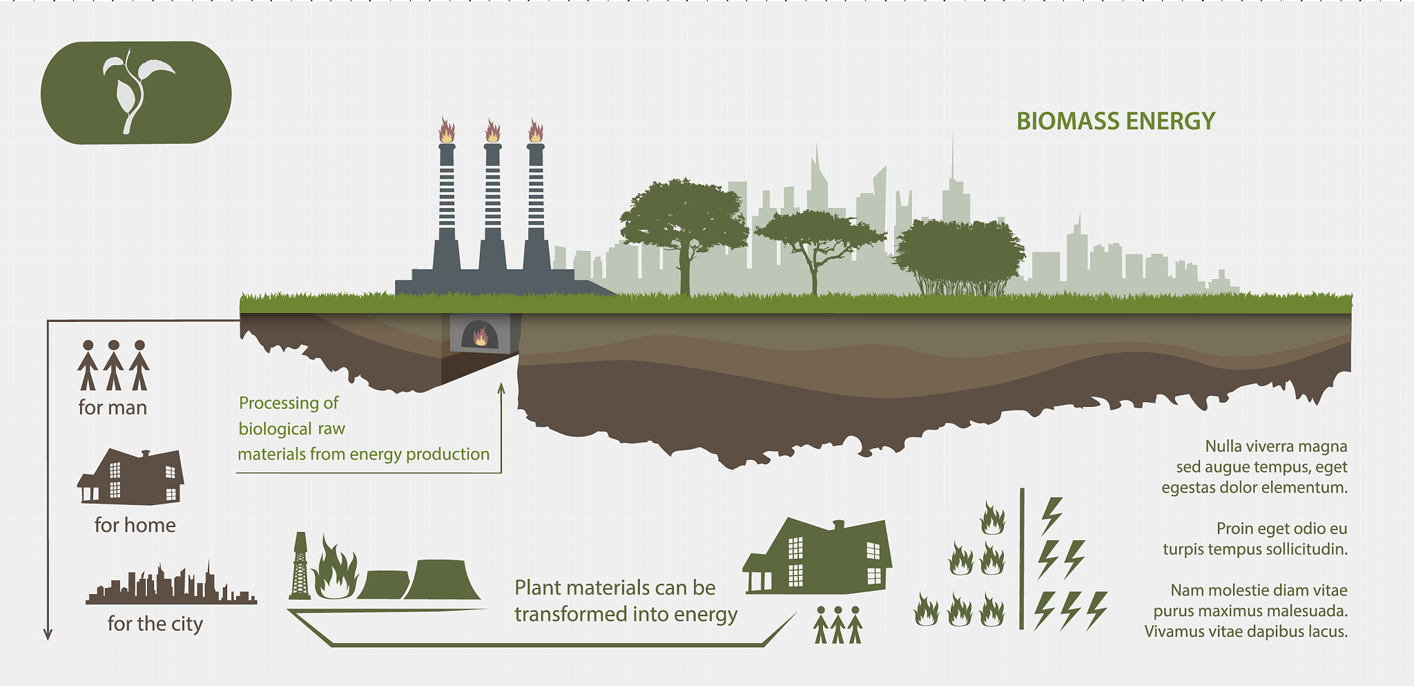 沼泽湿地碳排放、恢复与模式优化：基于碳循环的视角
