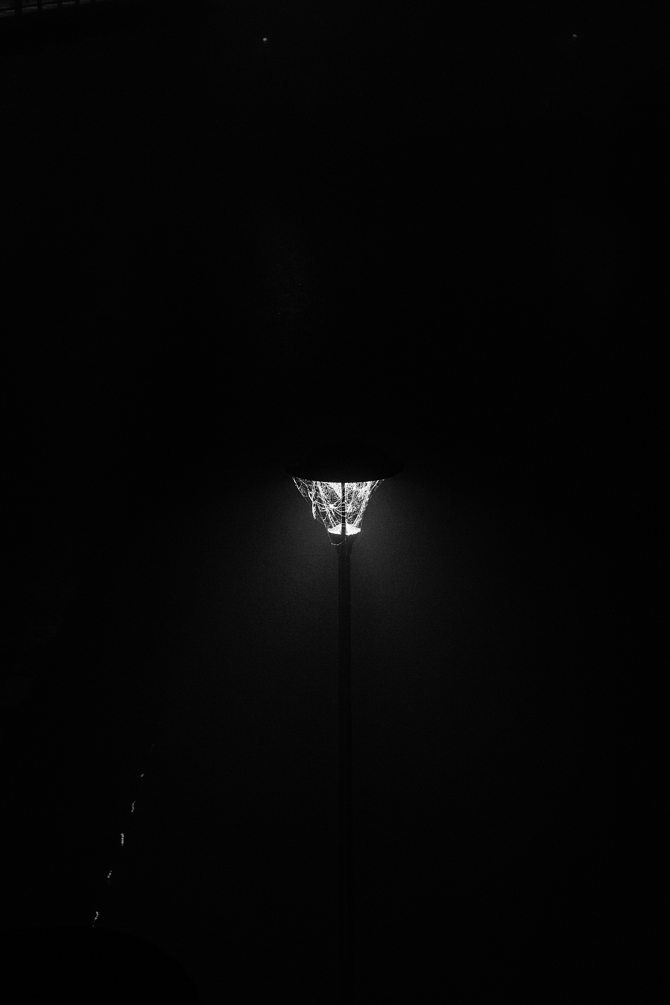 lanterns on the vistula in krakow, black and white