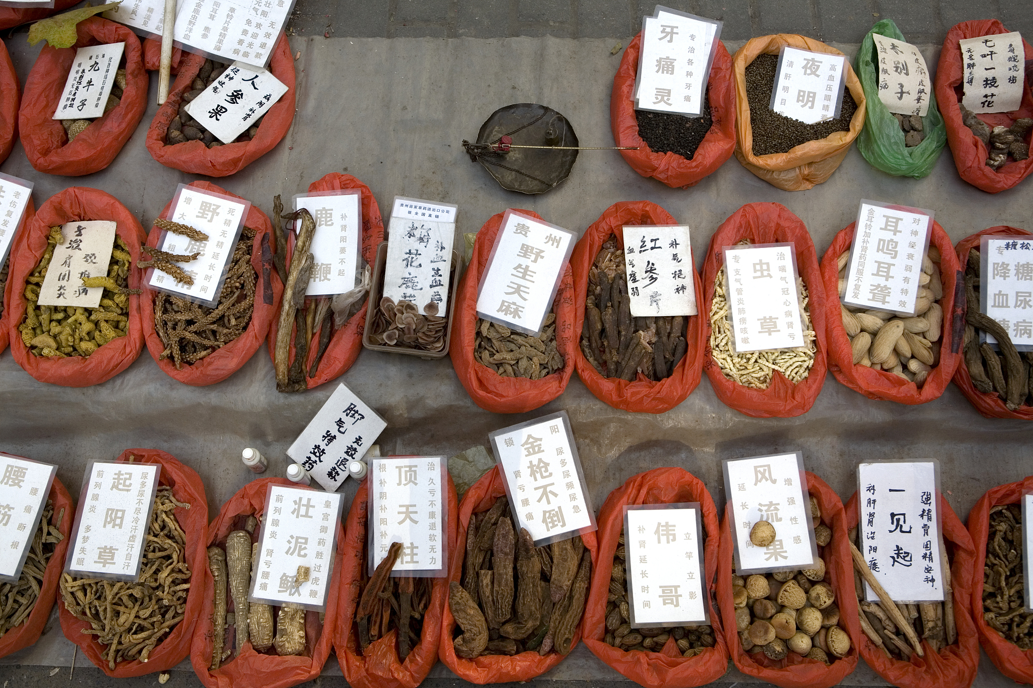 浙江医药高等专科学校中药学专业培养目标及就业前景