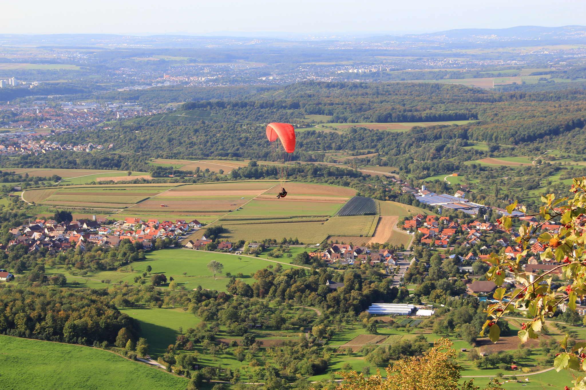 paraglider