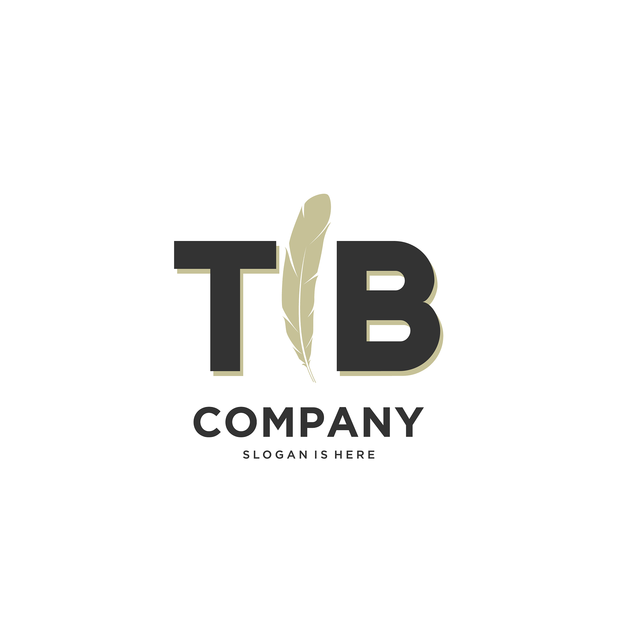 initial tb letter unique attractive creative
