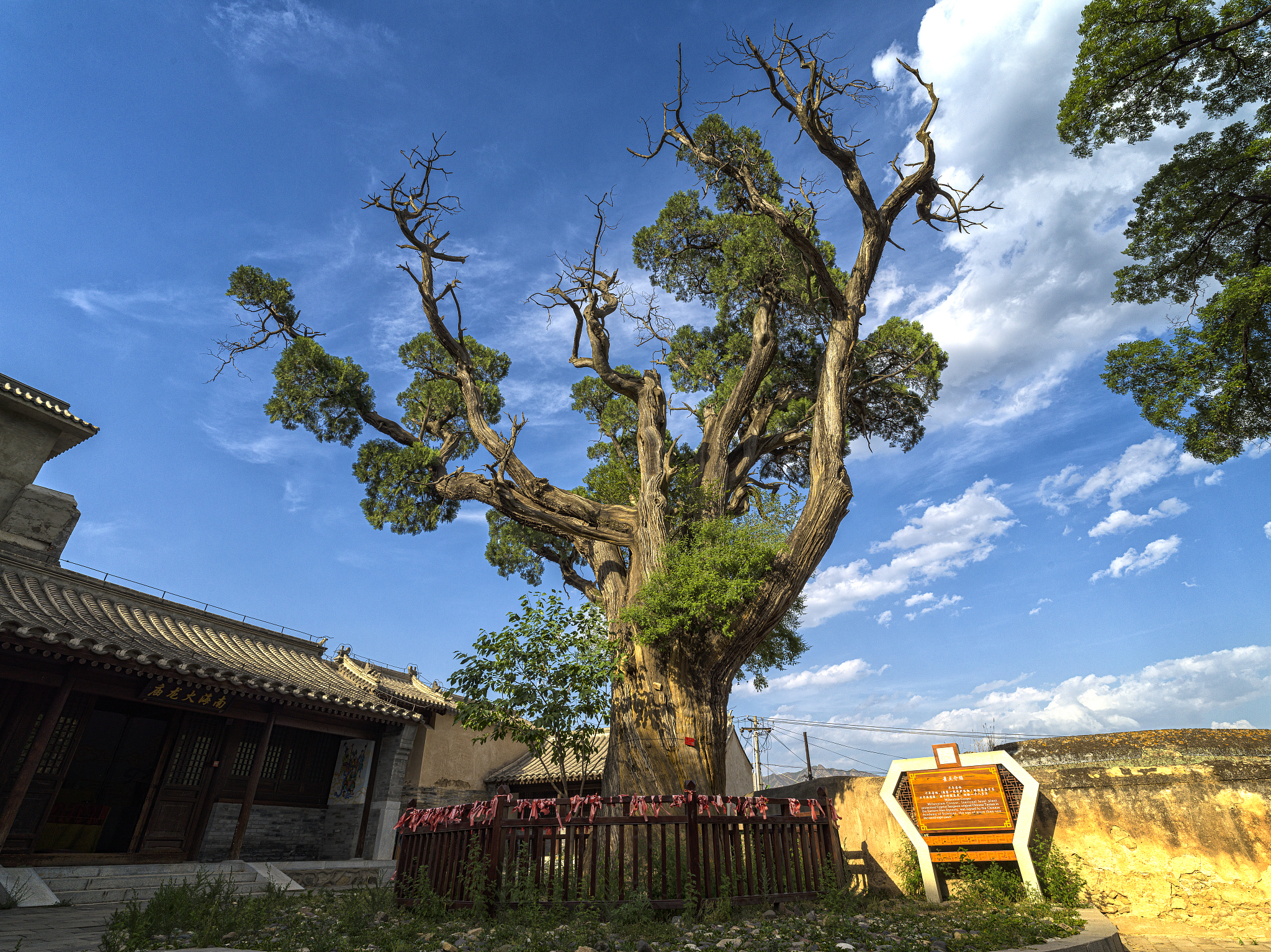 恩施三交：古镇、茶叶、景点、文化活动全方位介绍