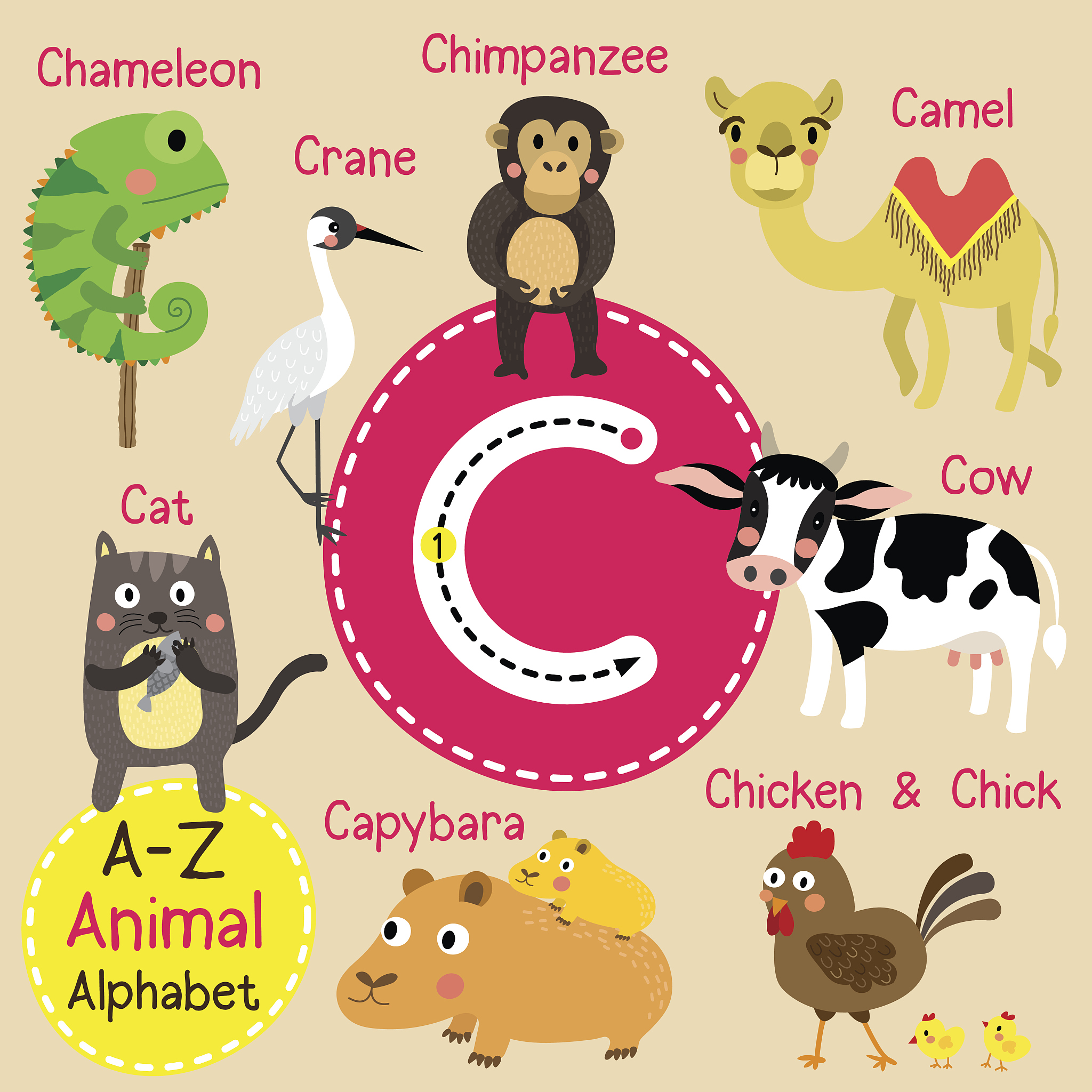 My Passion for Animal Infectious Diseases: A Deep Dive into Animal Health