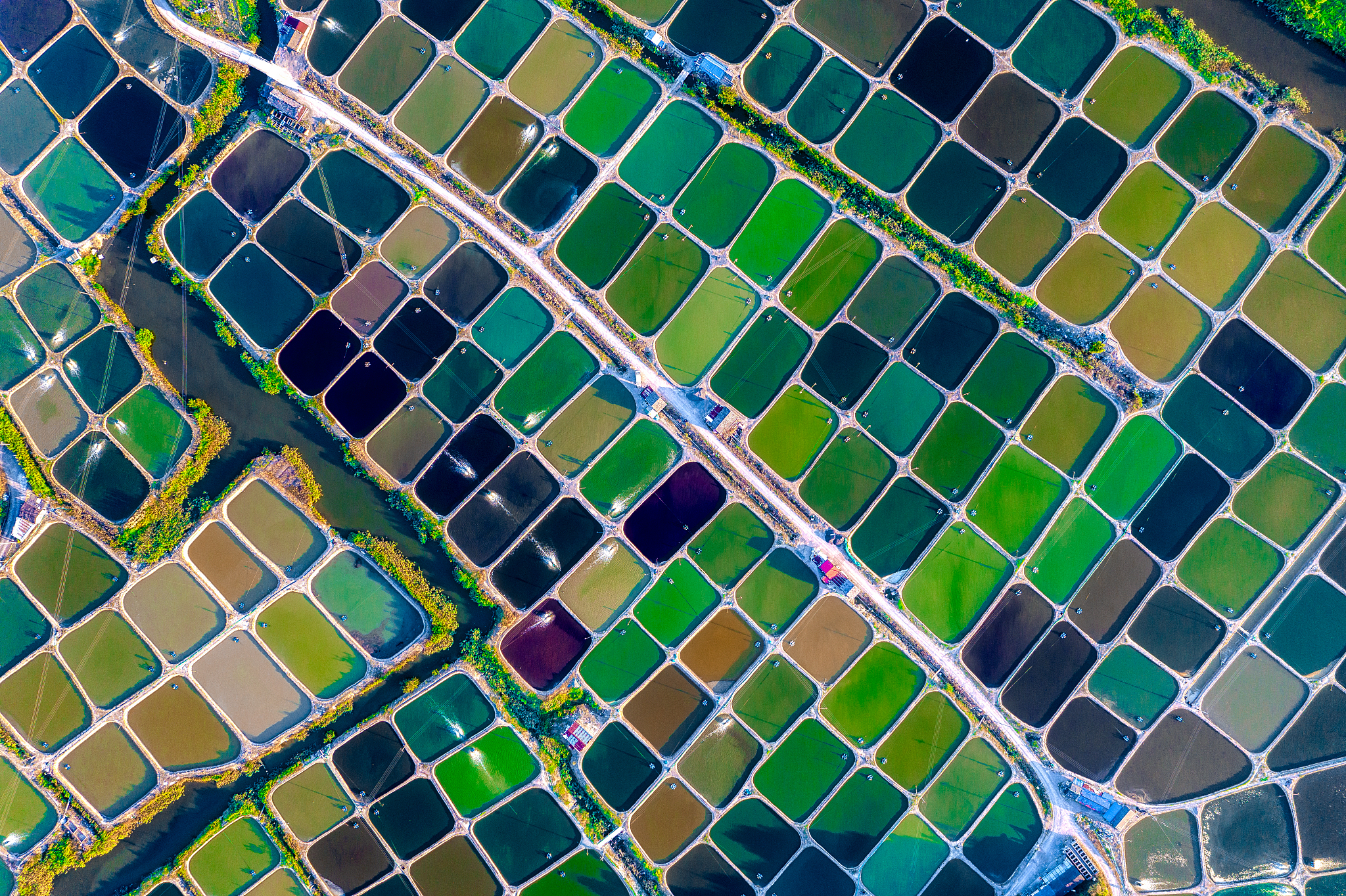 如何快速识别并勾绘城区农林用地