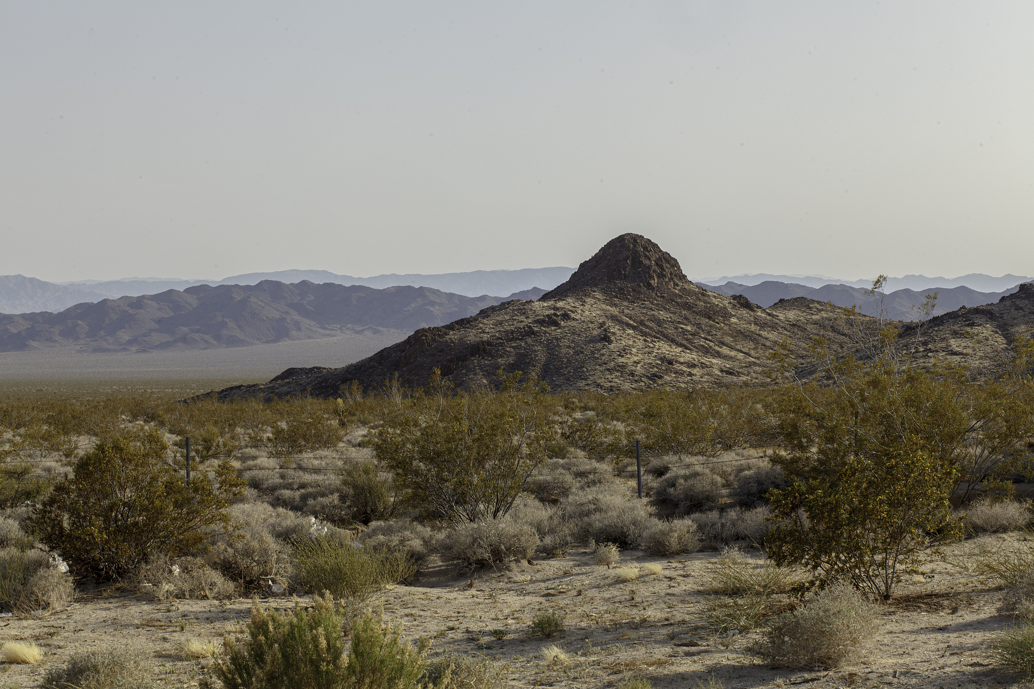 WHATS the most famous desert research institute