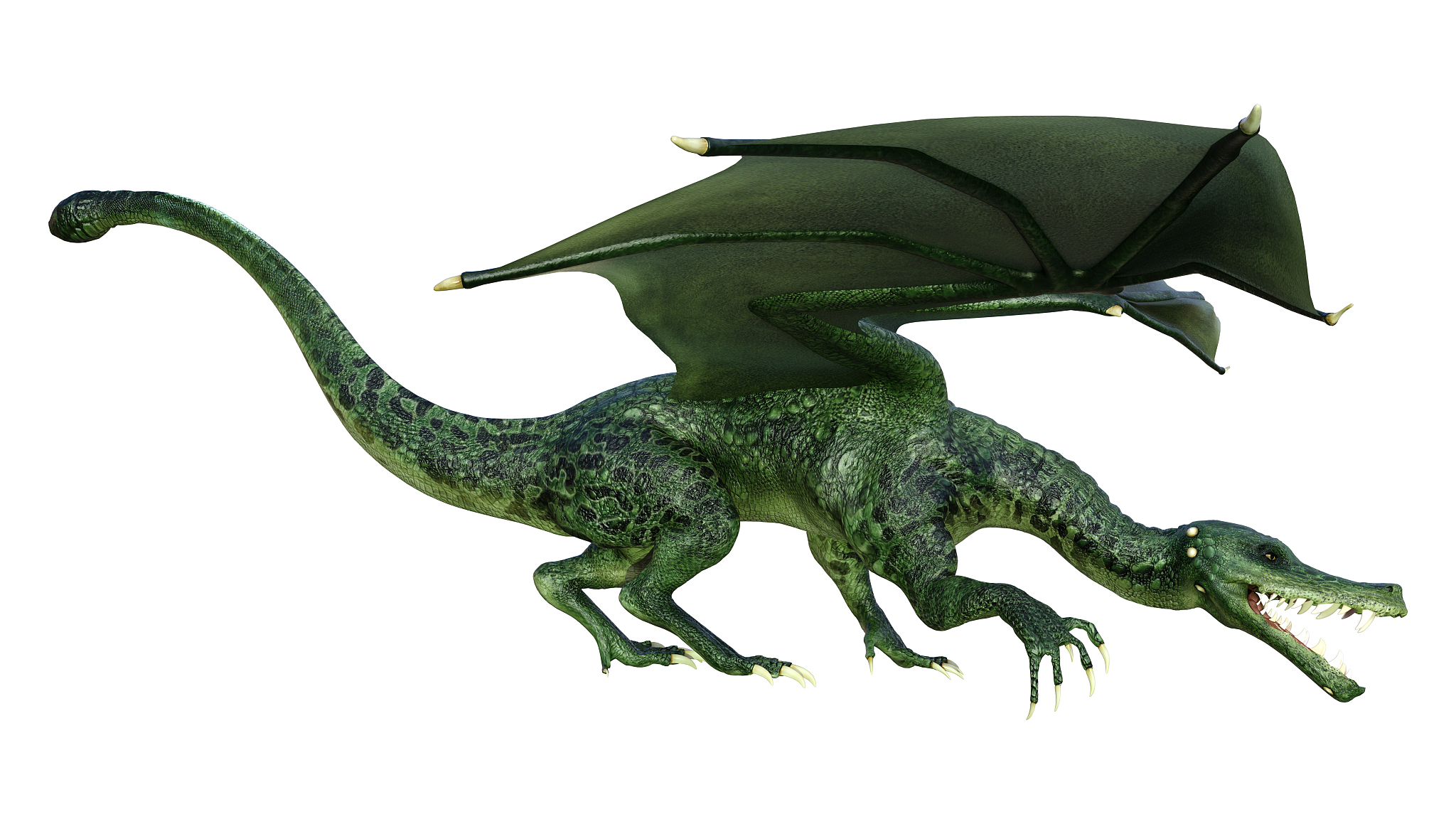 3d illustration fantasy dragon on white