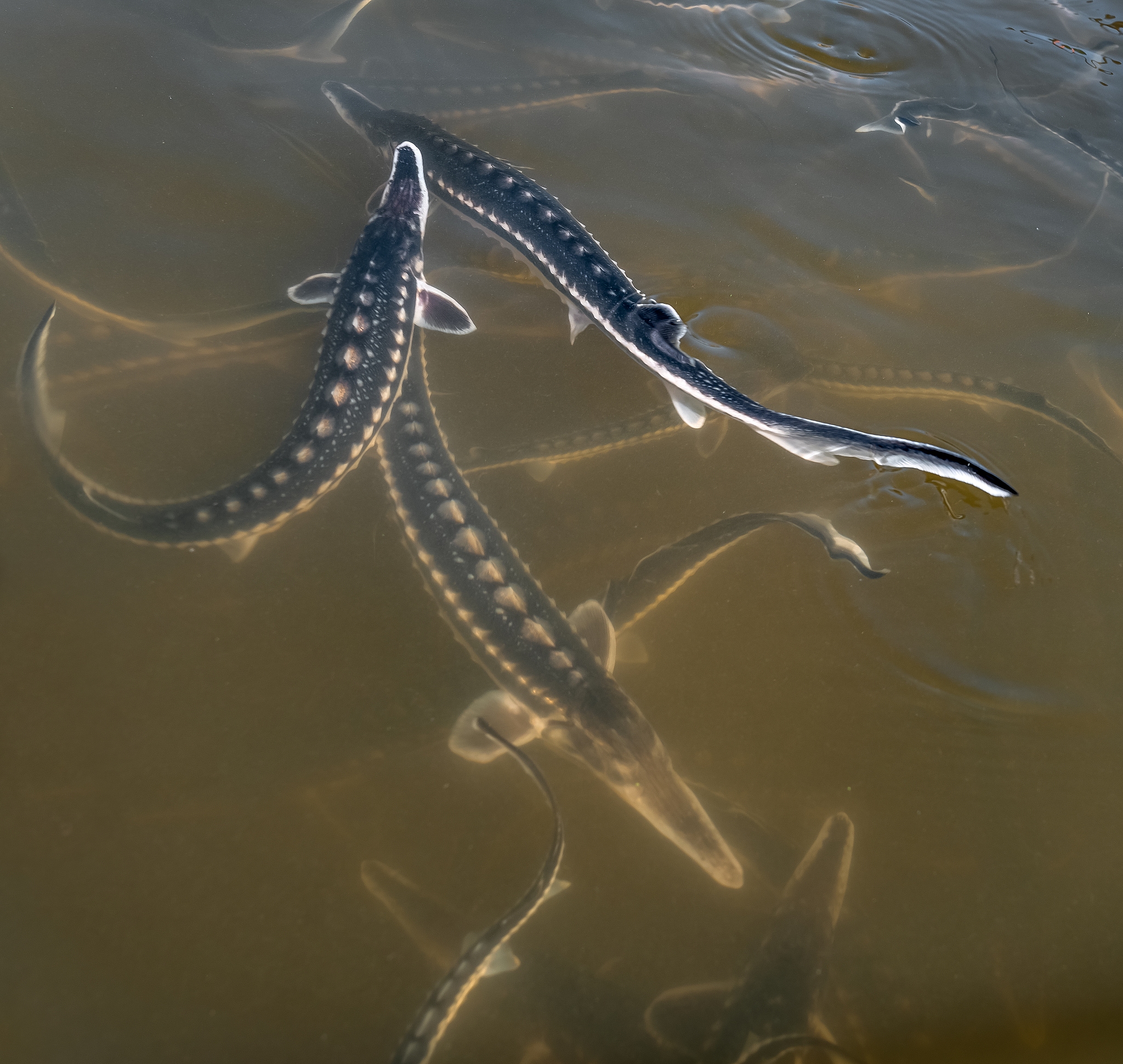 1200字关于电影与现实生活：如何反映社会问题？