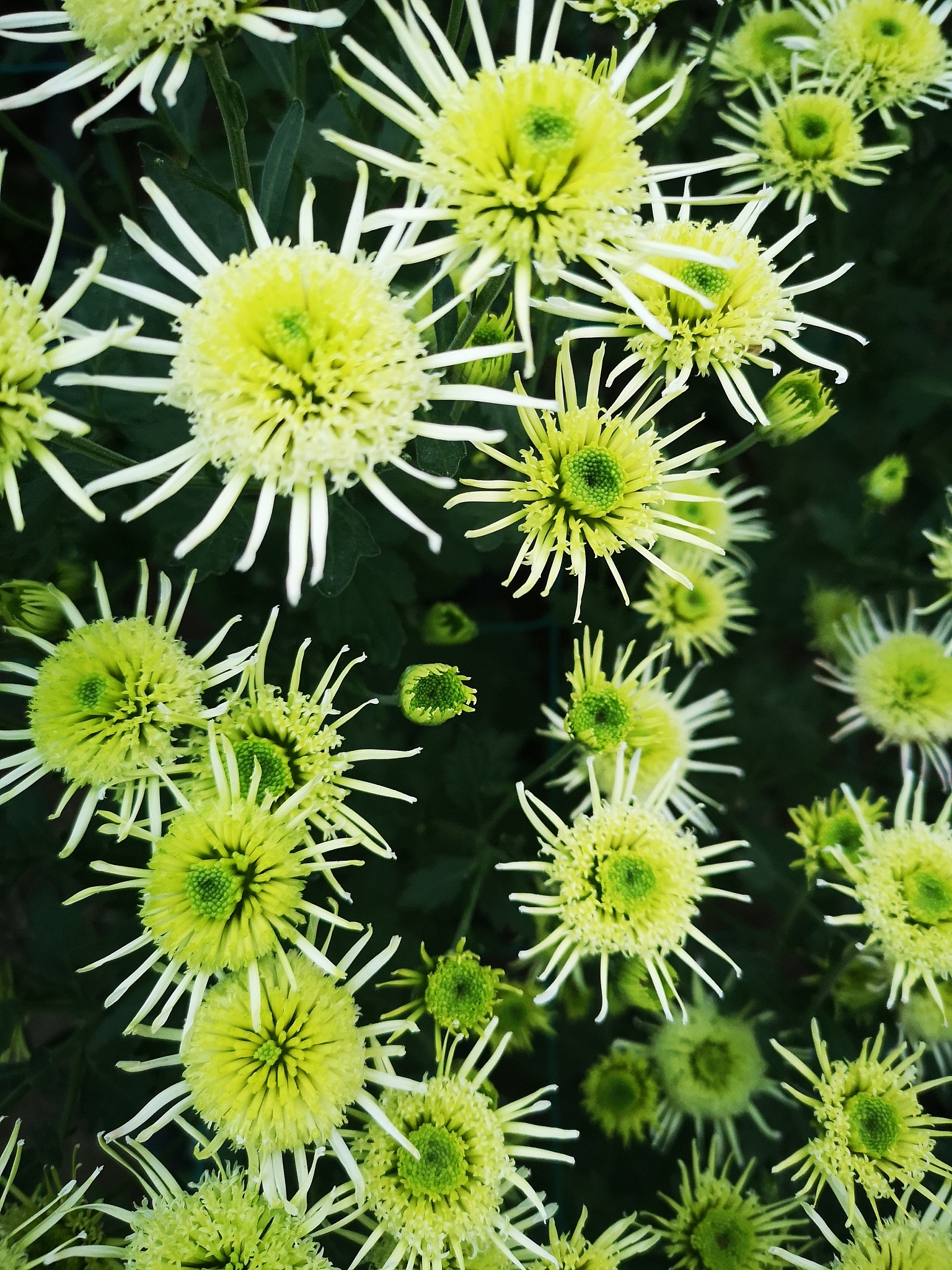 南京5日游详细攻略：景点、美食、住宿全方位推荐