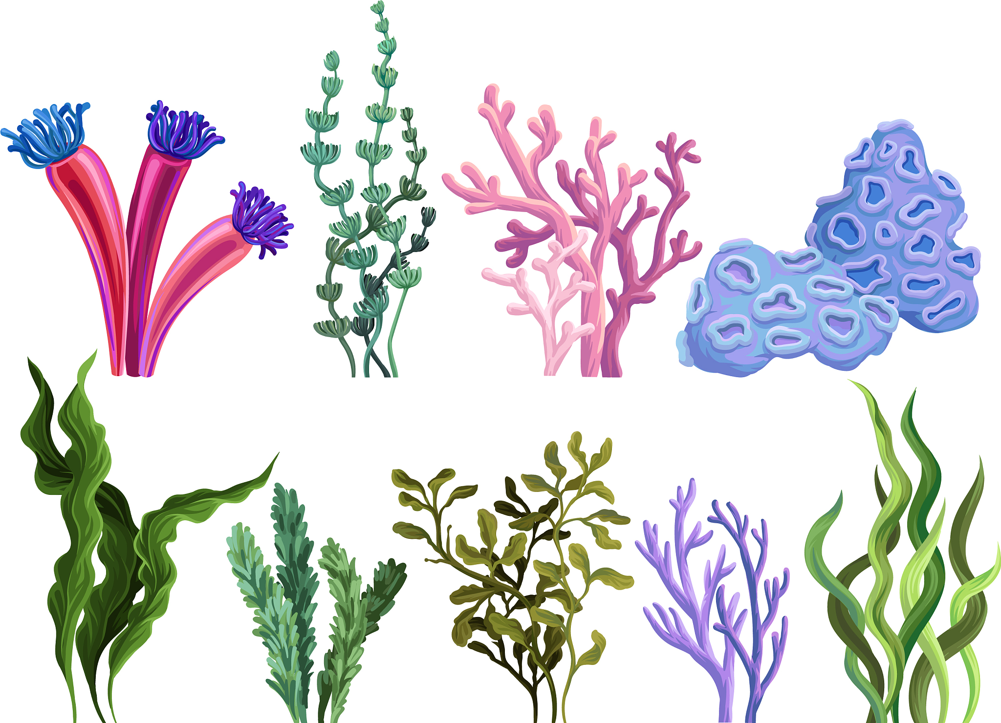 set colorful sea plants