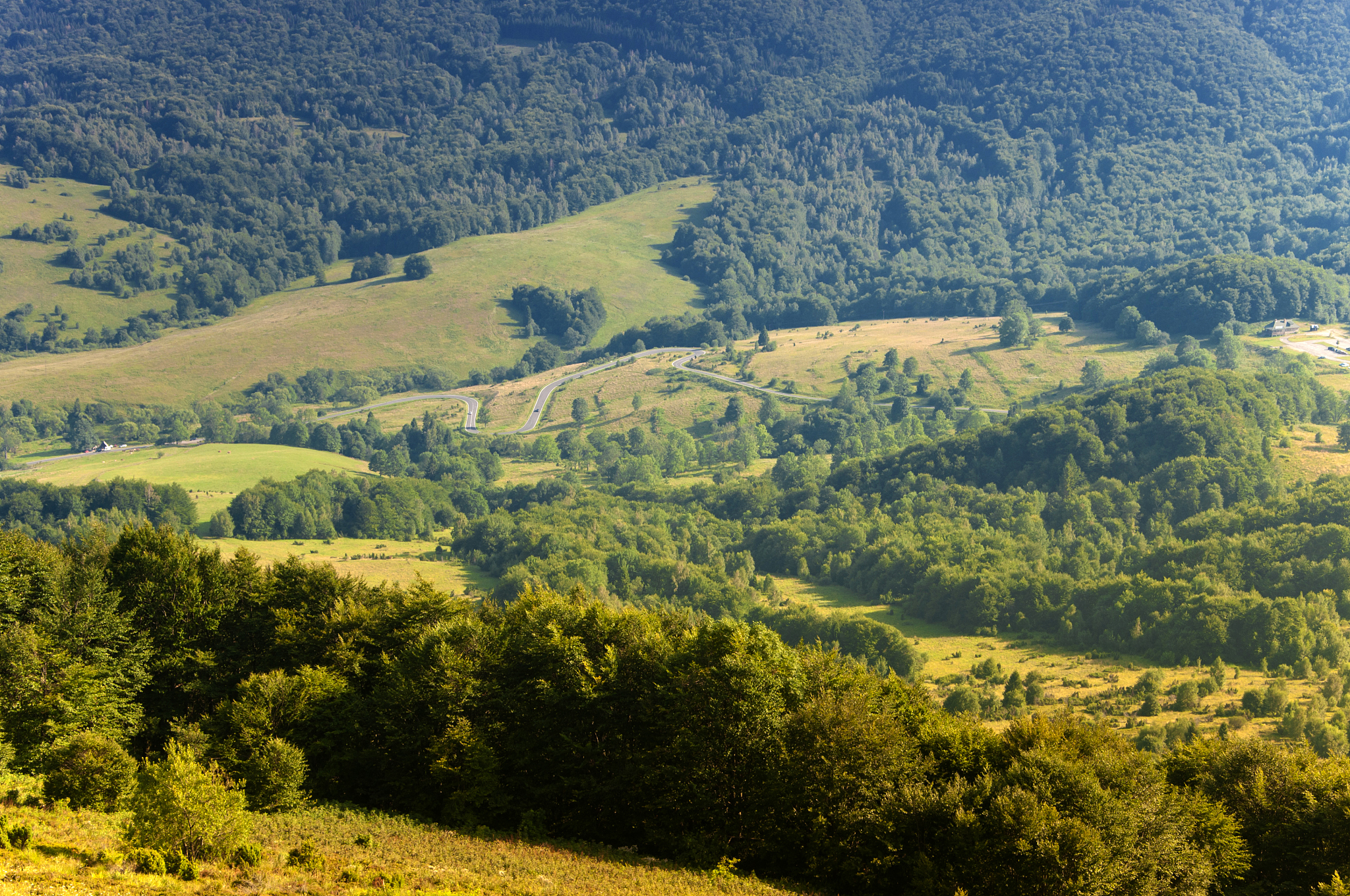 polonina wetlinska. bieszczady mountains.