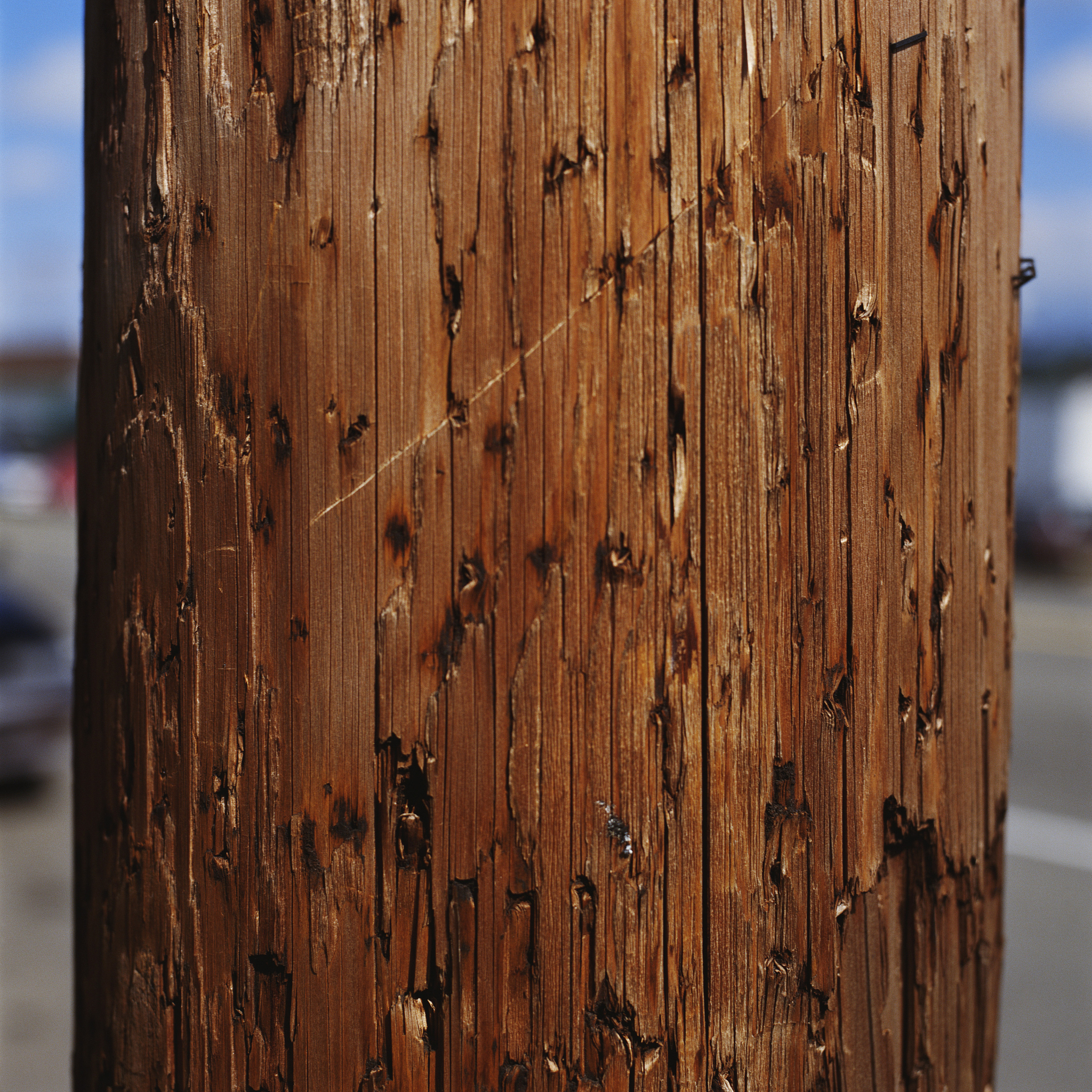 Wooden Gazebo Review: Stunning Wood Texture, Moistureproof & Perfect for Backyard Relaxation