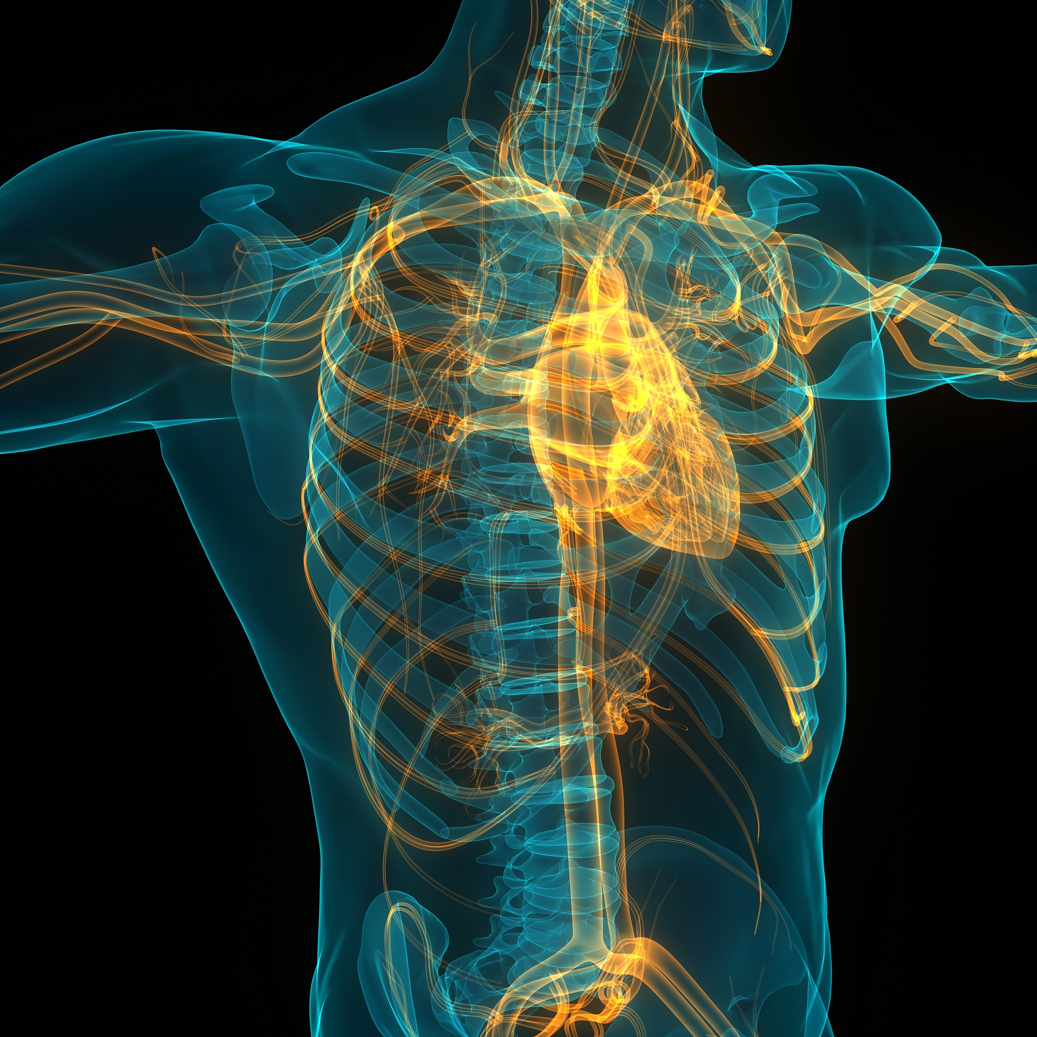 血液透析治疗尿毒症的局限性及心血管风险